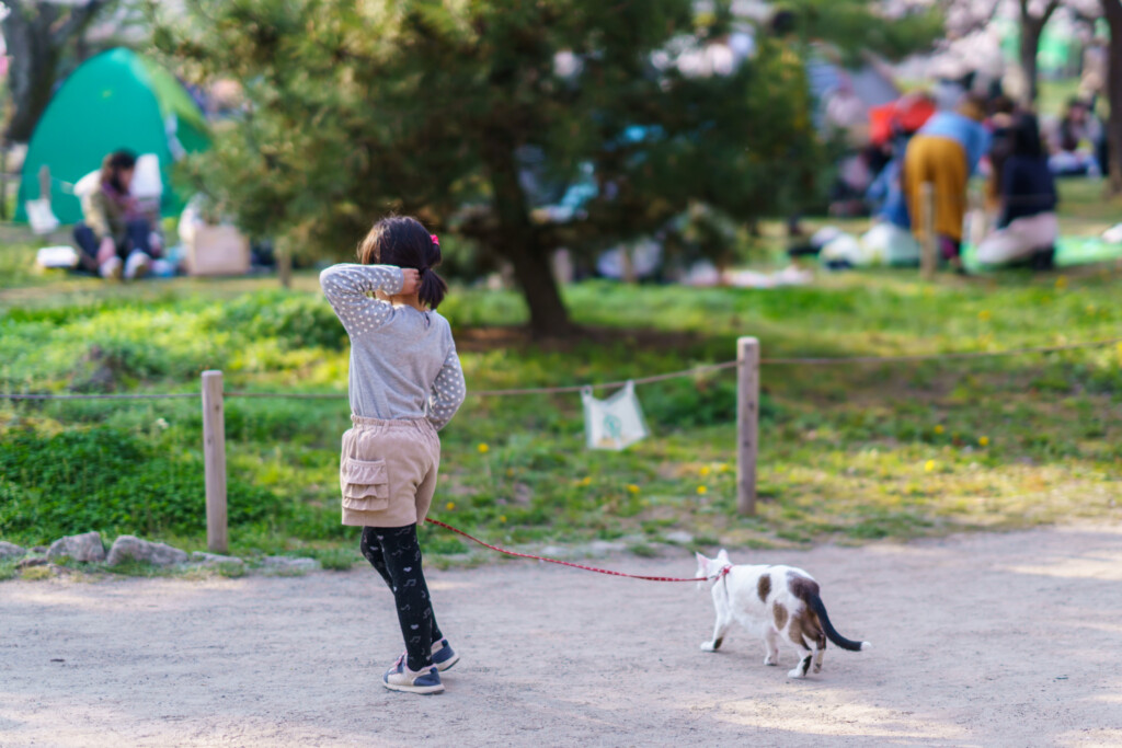 舞鶴公園