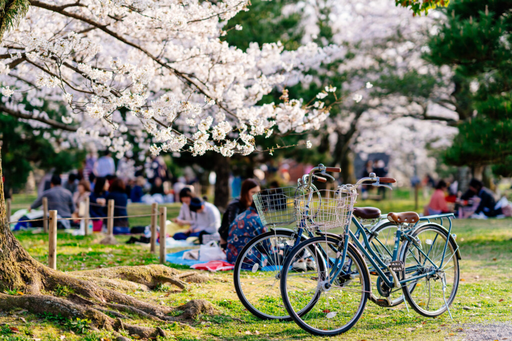 舞鶴公園