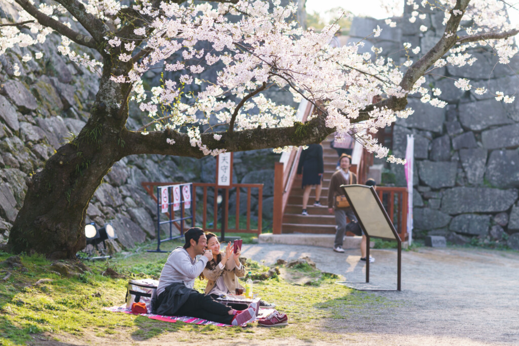 舞鶴公園