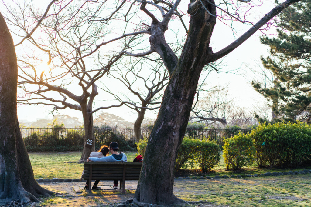 舞鶴公園