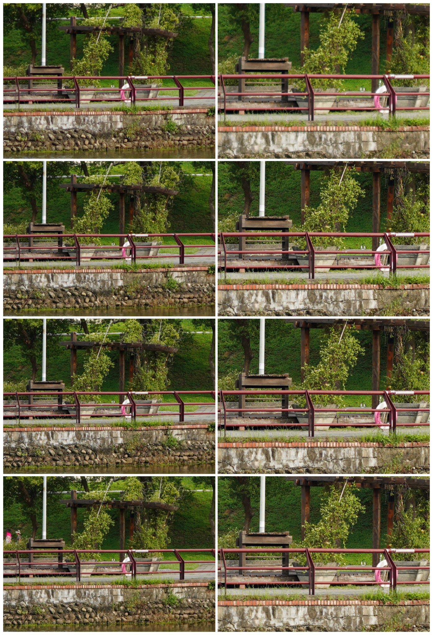 中央collage