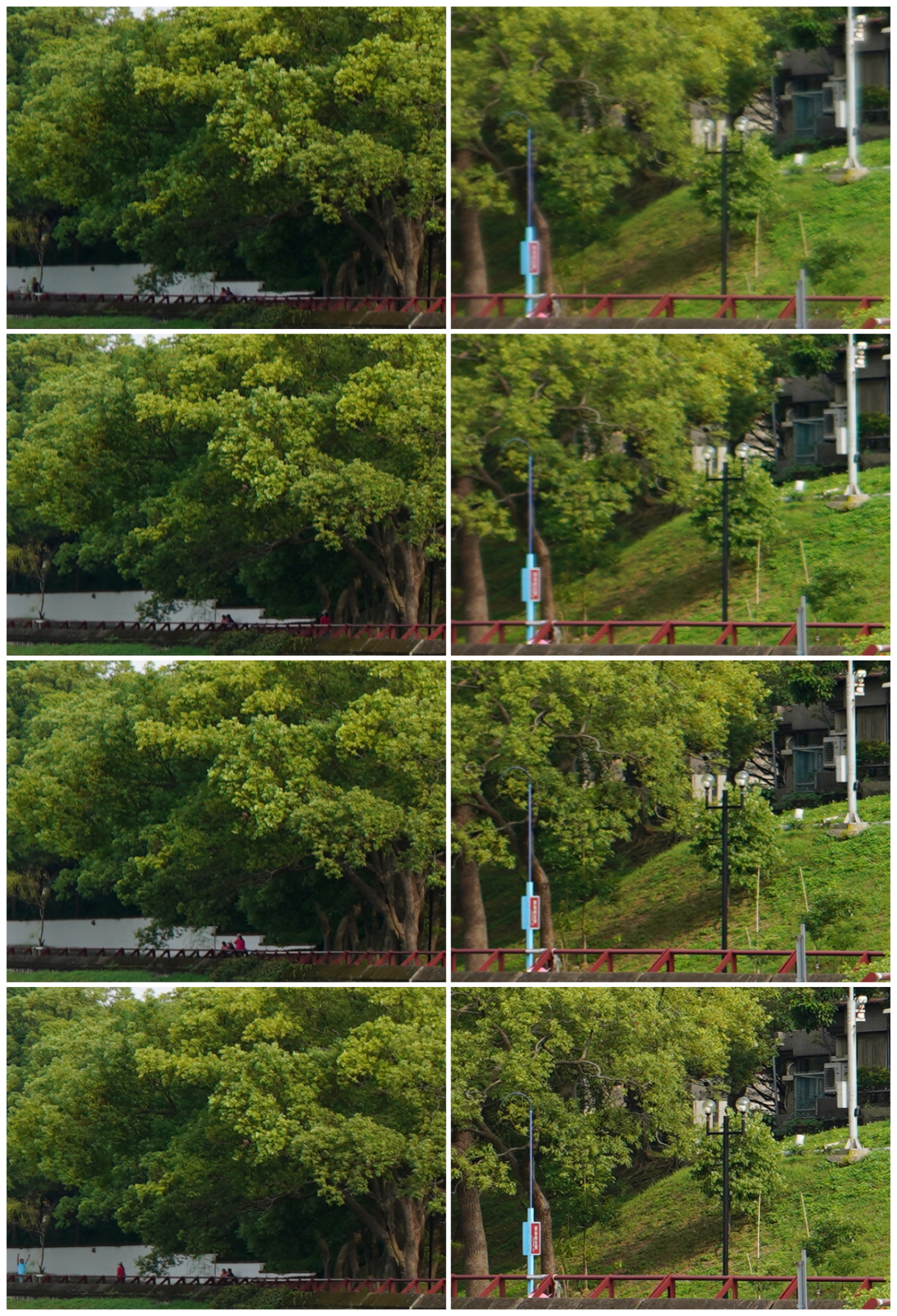 二分之一collage