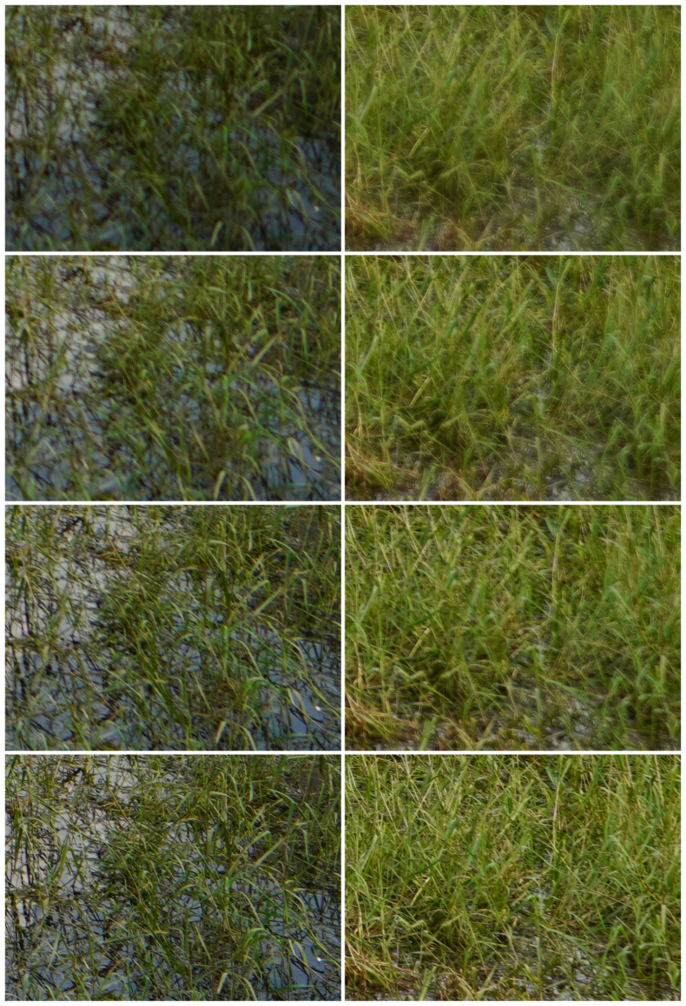 邊角collage
