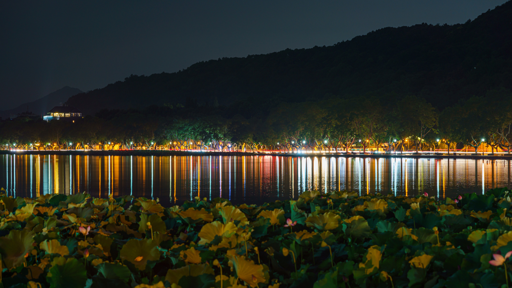 夜西湖