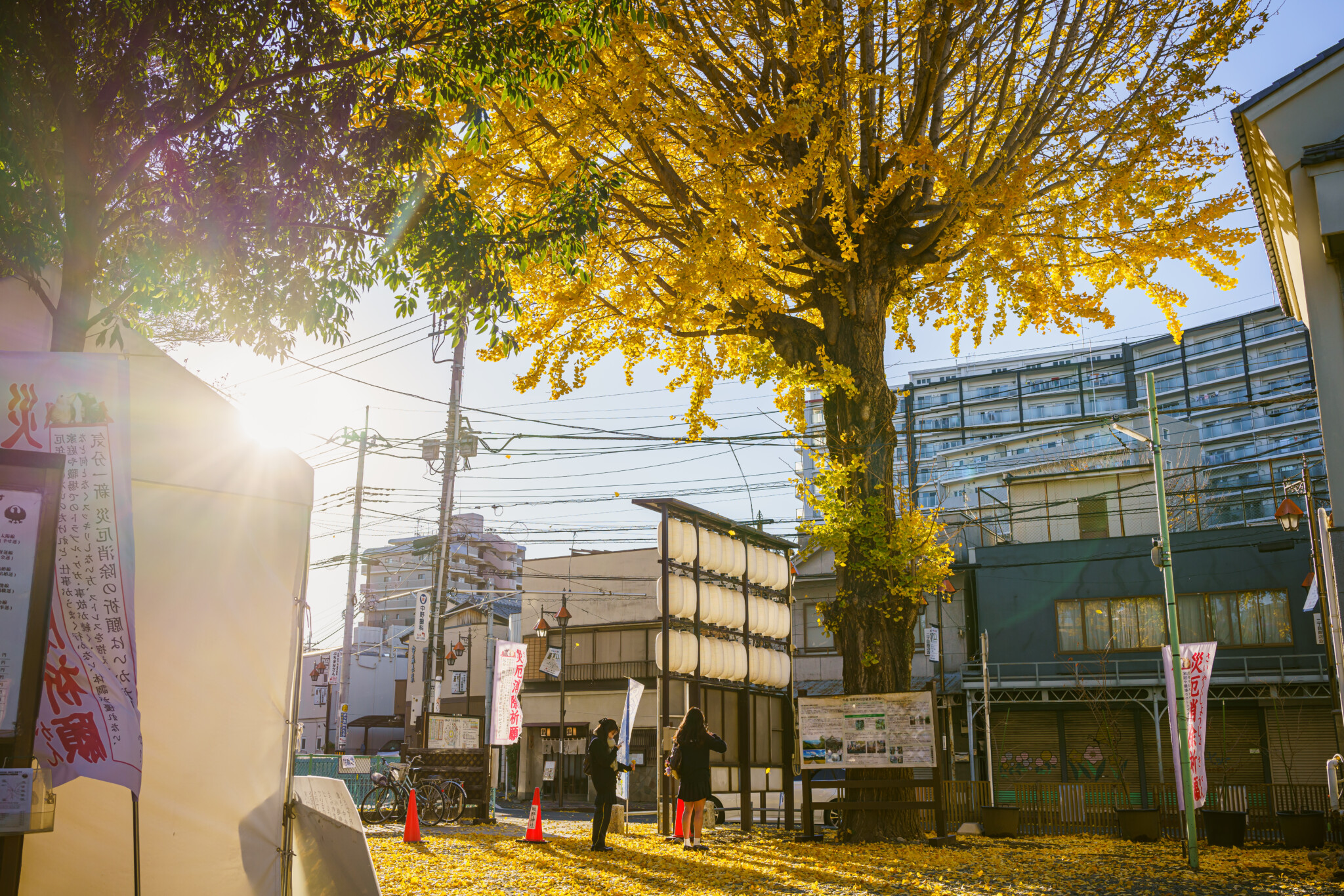 熊野神社