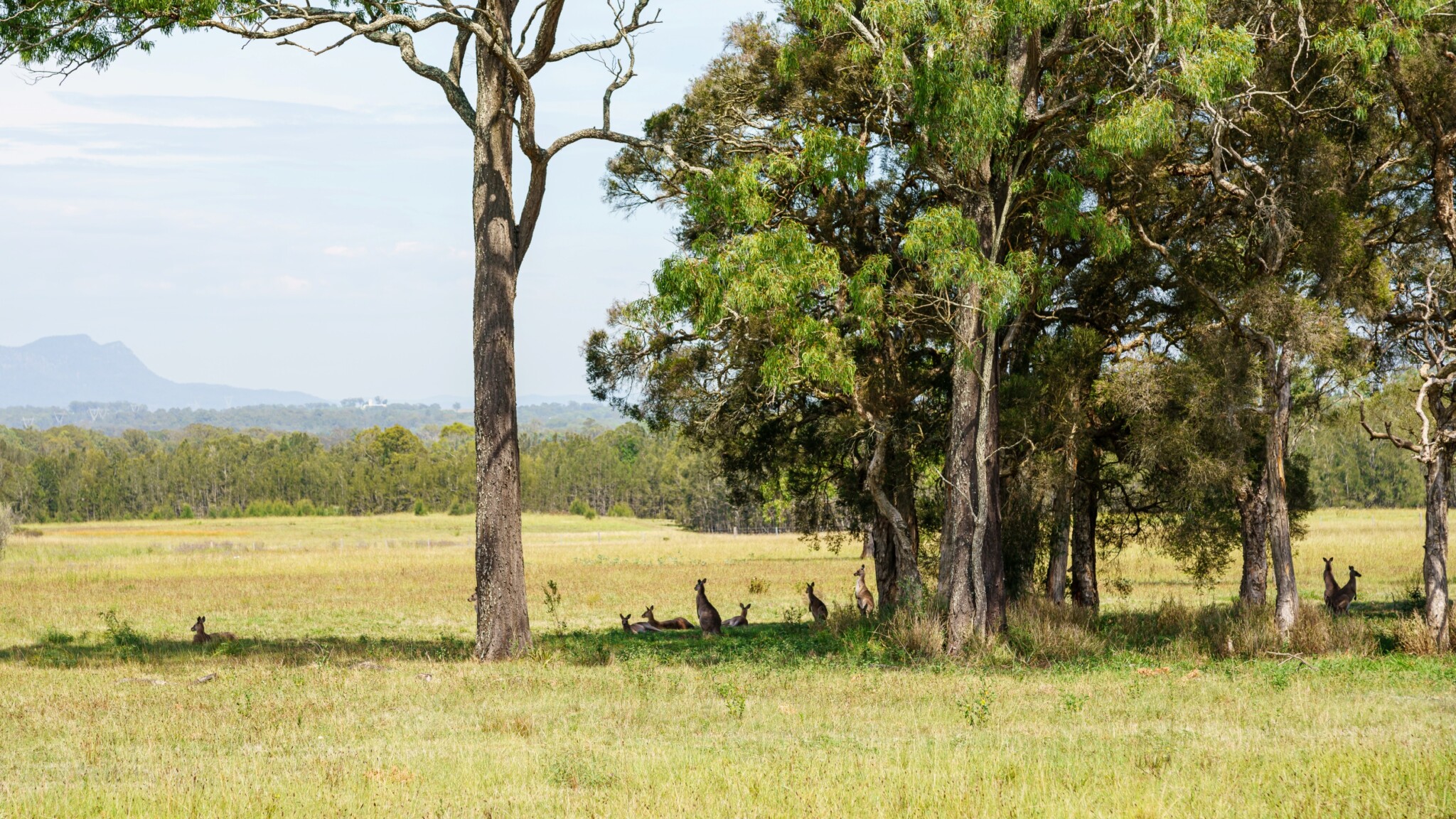 Hunter Valley