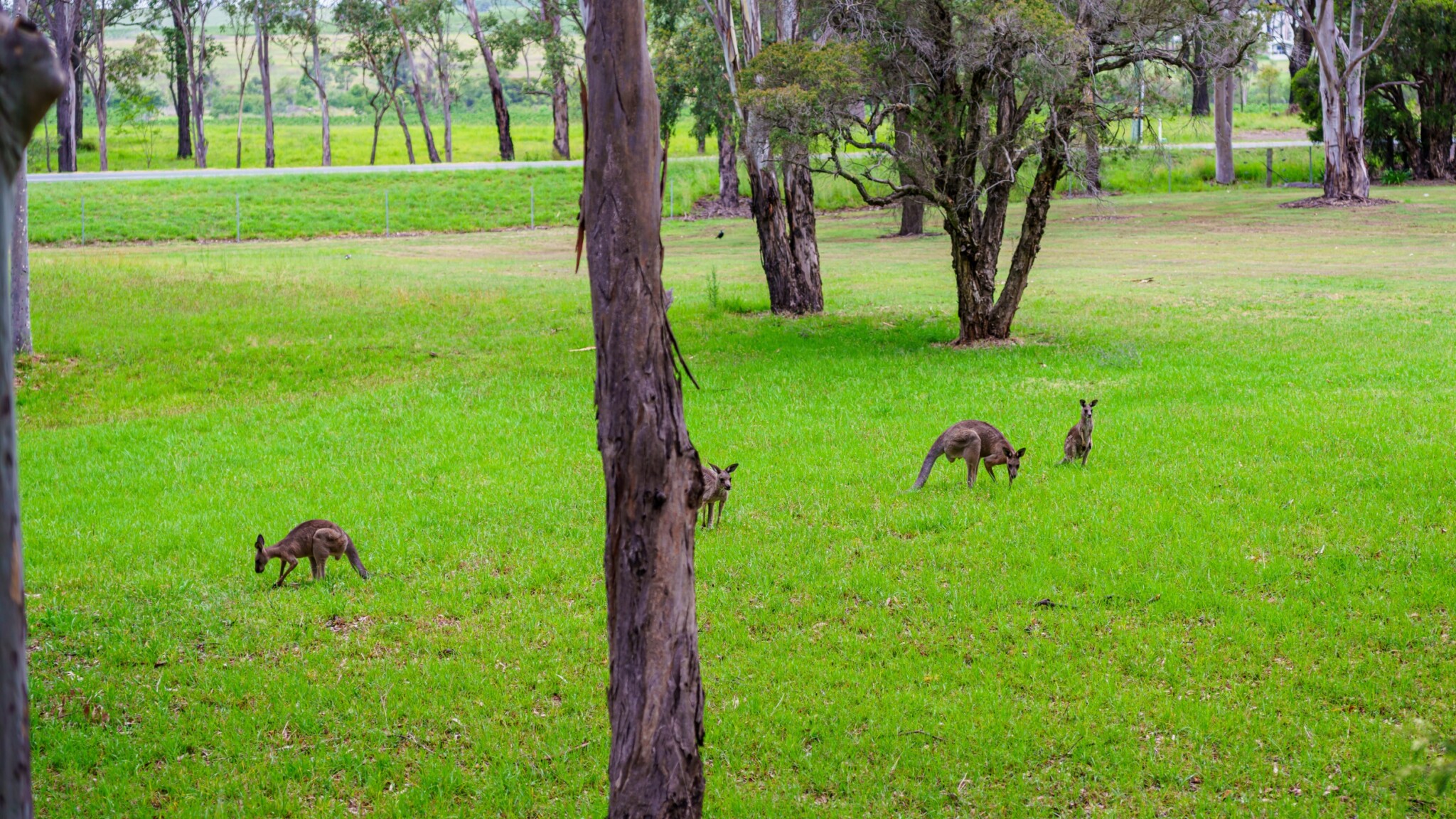 Hunter Valley