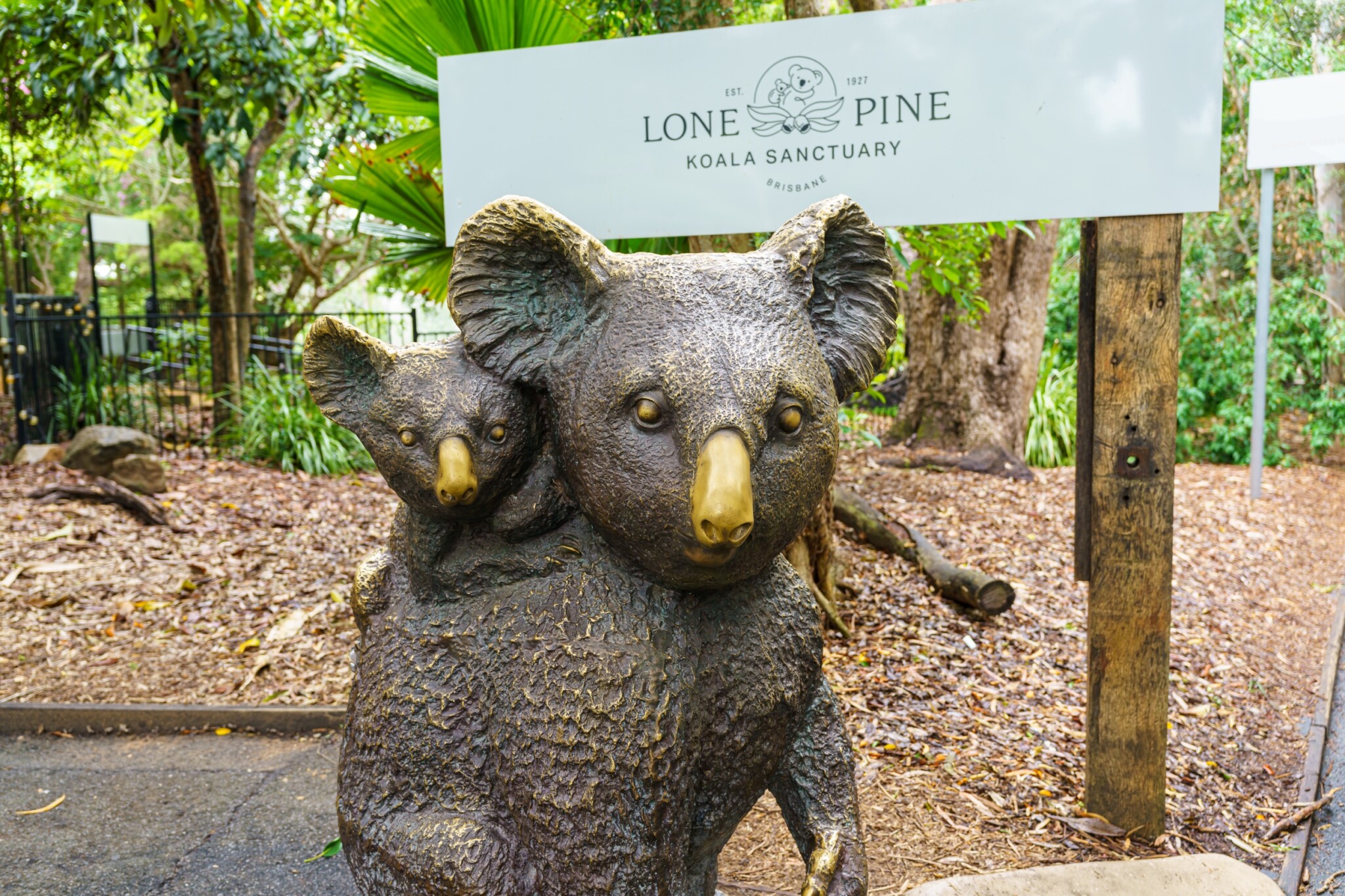Lone Pine Koala Sanctuary