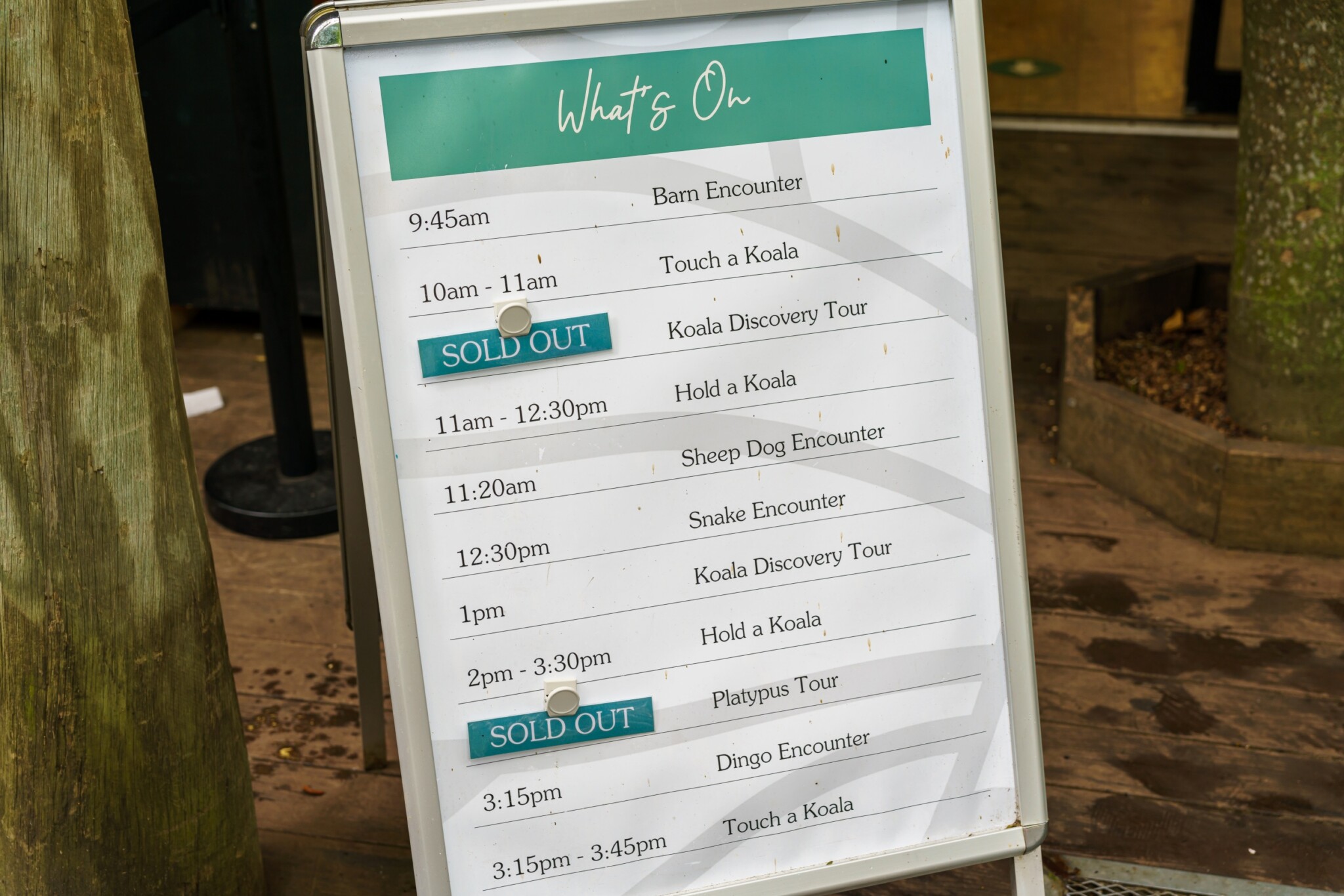 Lone Pine Koala Sanctuary