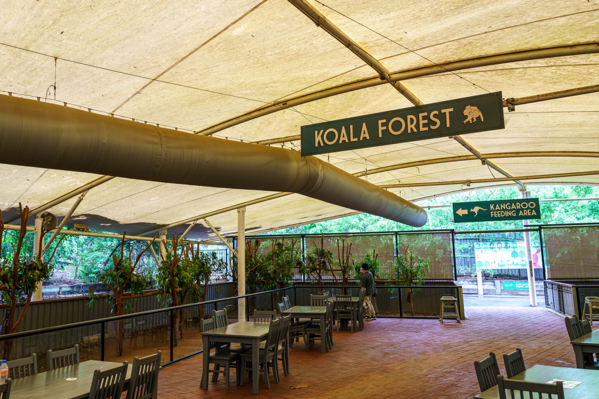Lone Pine Koala Sanctuary