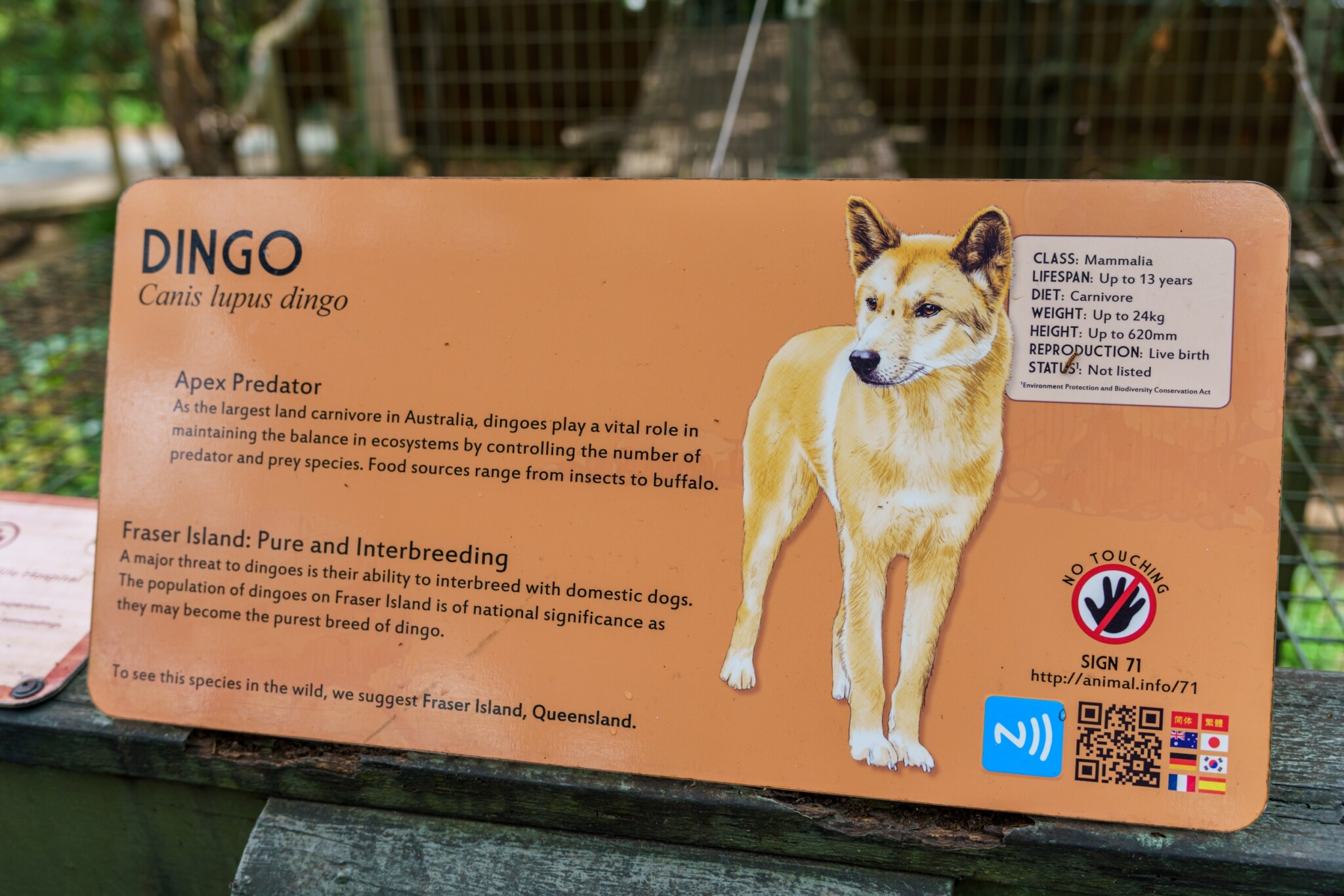 Lone Pine Koala Sanctuary