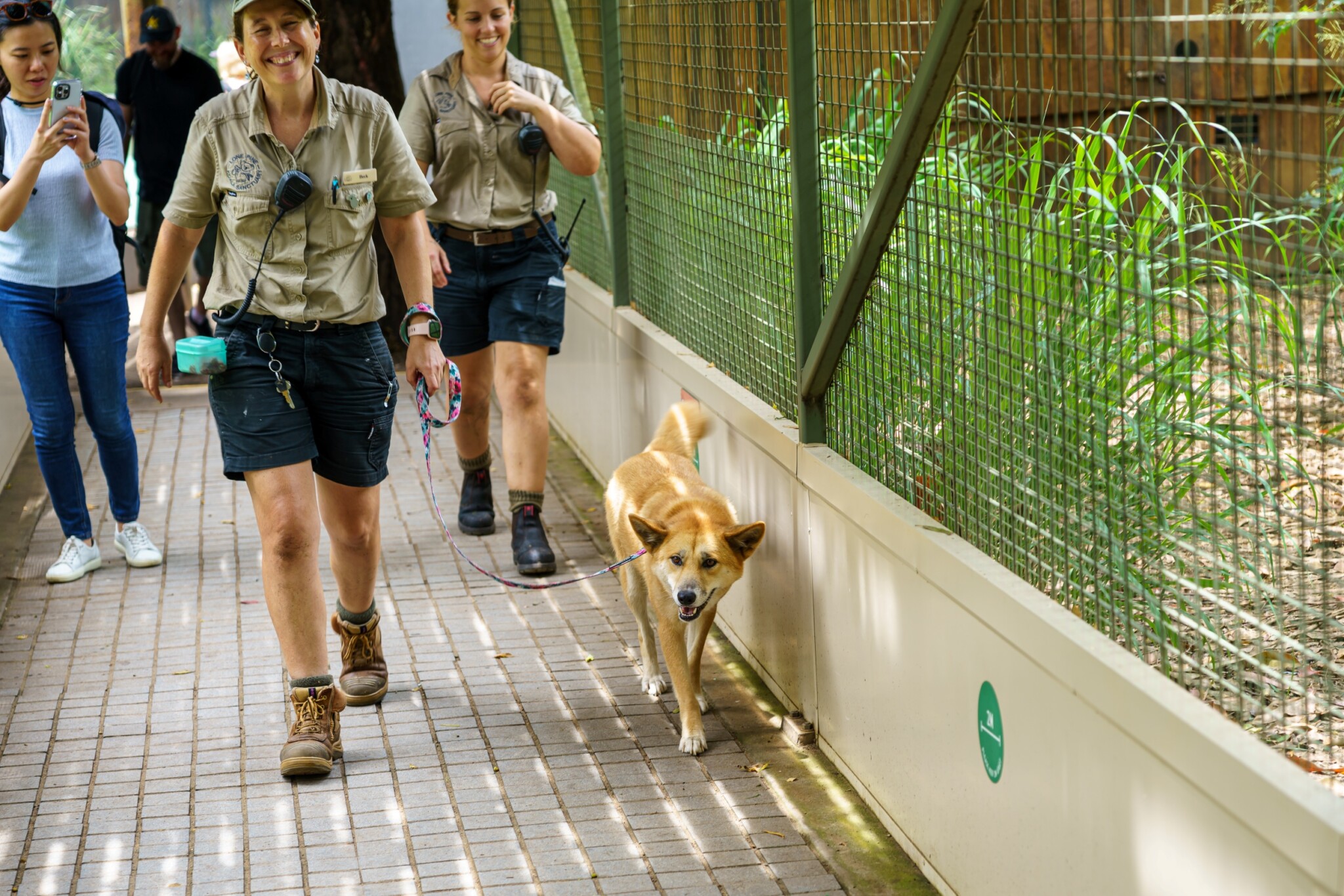 Lone Pine Koala Sanctuary