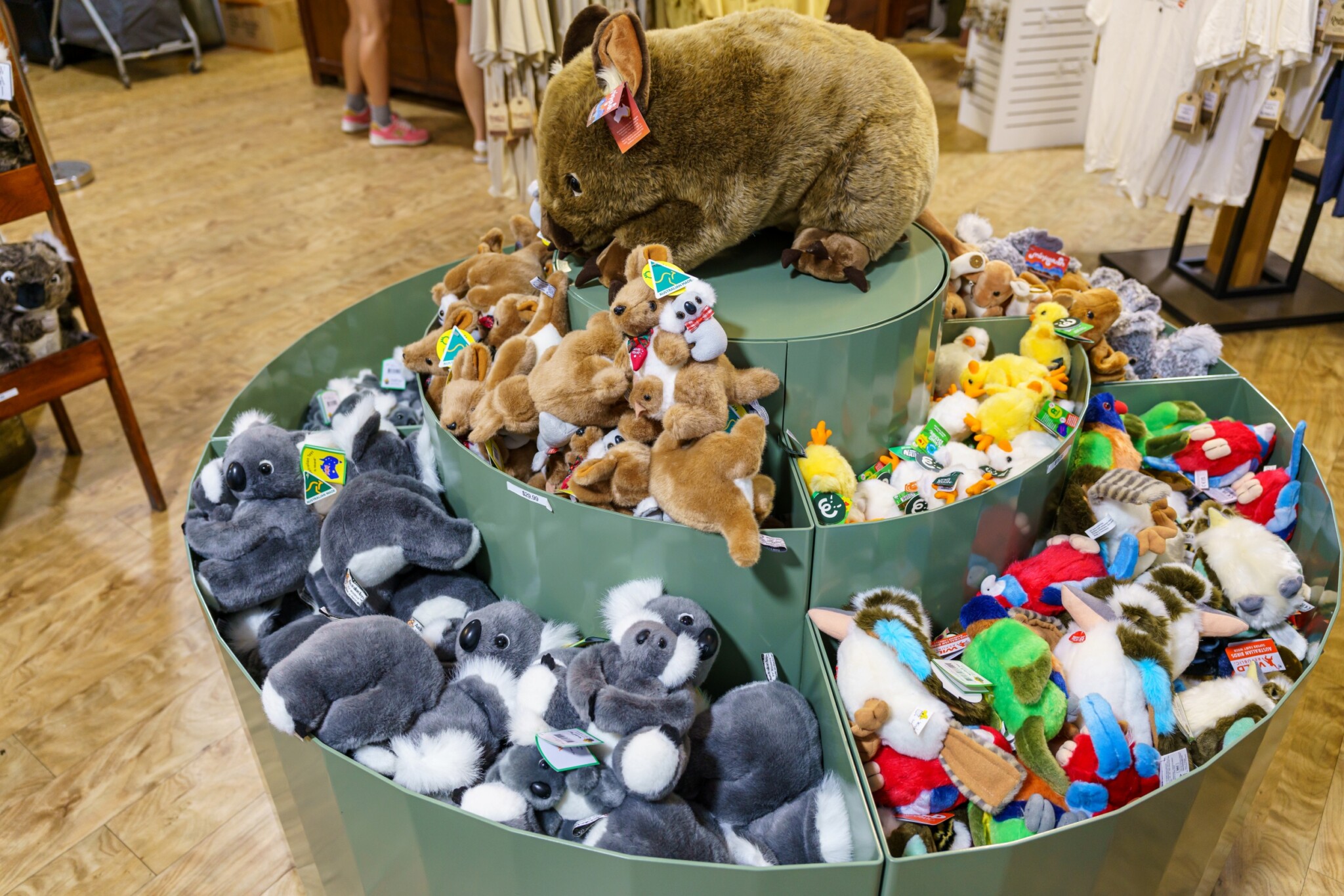 Lone Pine Koala Sanctuary