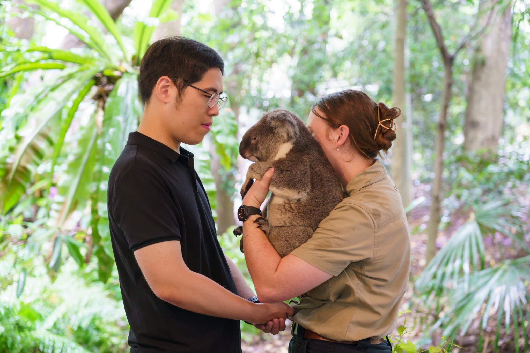 Lone Pine Koala Sanctuary