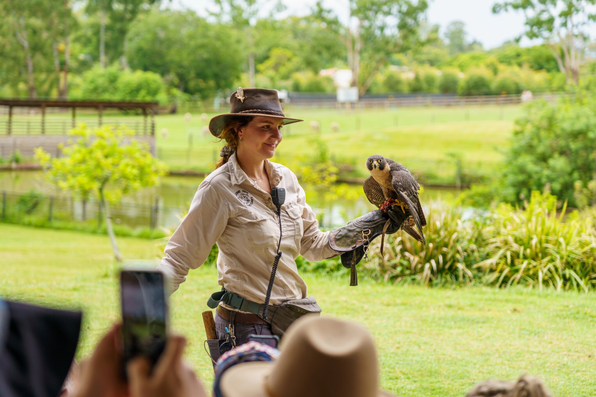 Lone Pine Koala Sanctuary