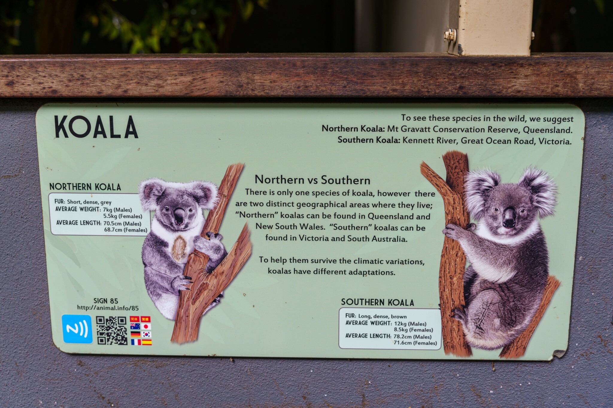 Lone Pine Koala Sanctuary