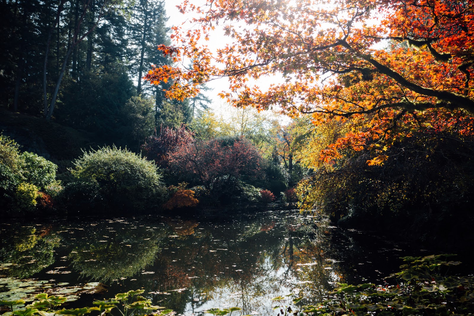 The Butchart Gardens