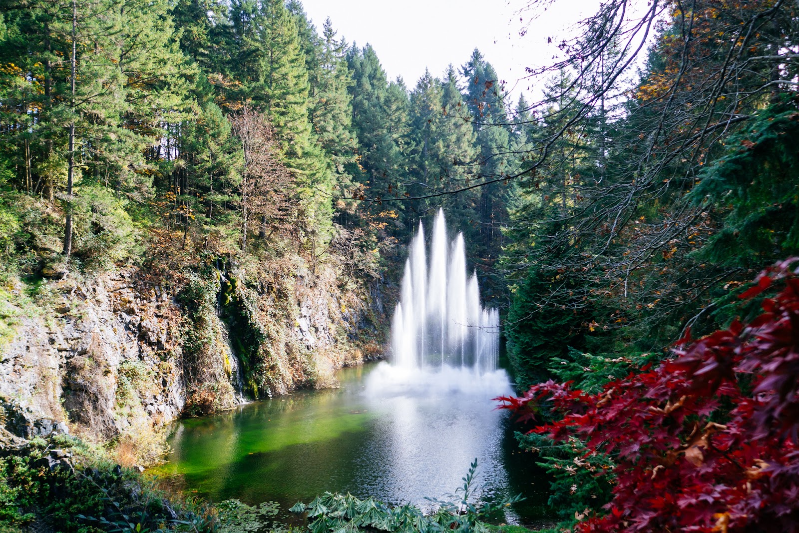 The Butchart Gardens