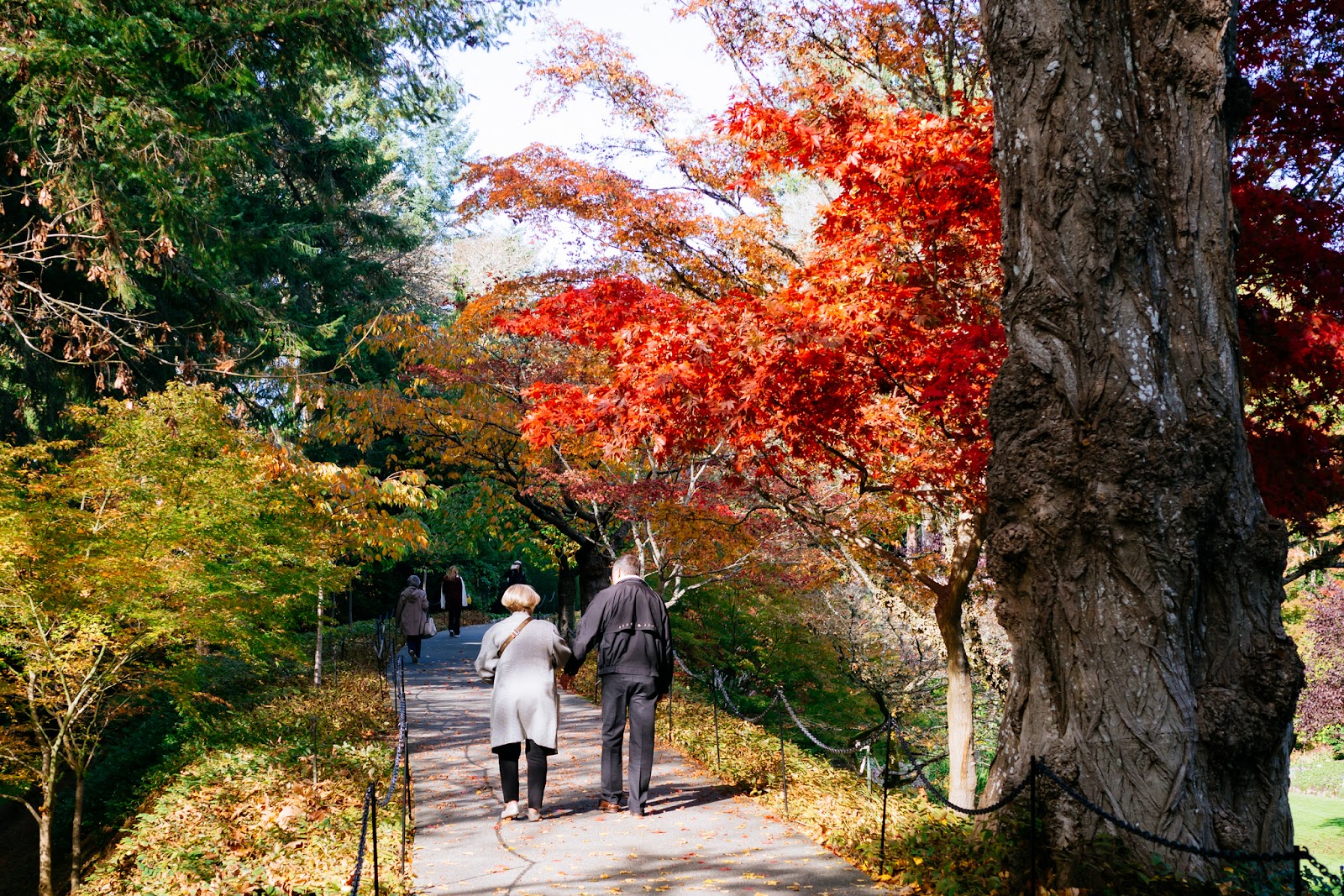 The Butchart Gardens