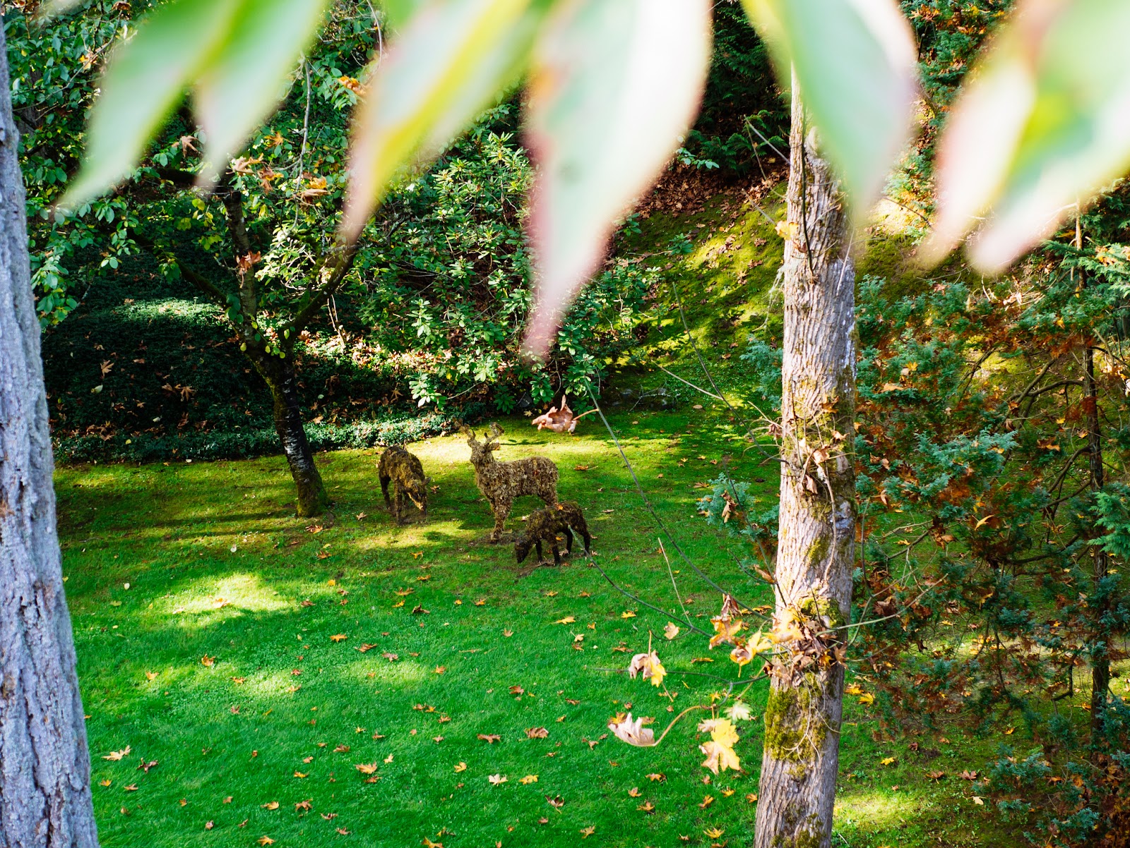 The Butchart Gardens