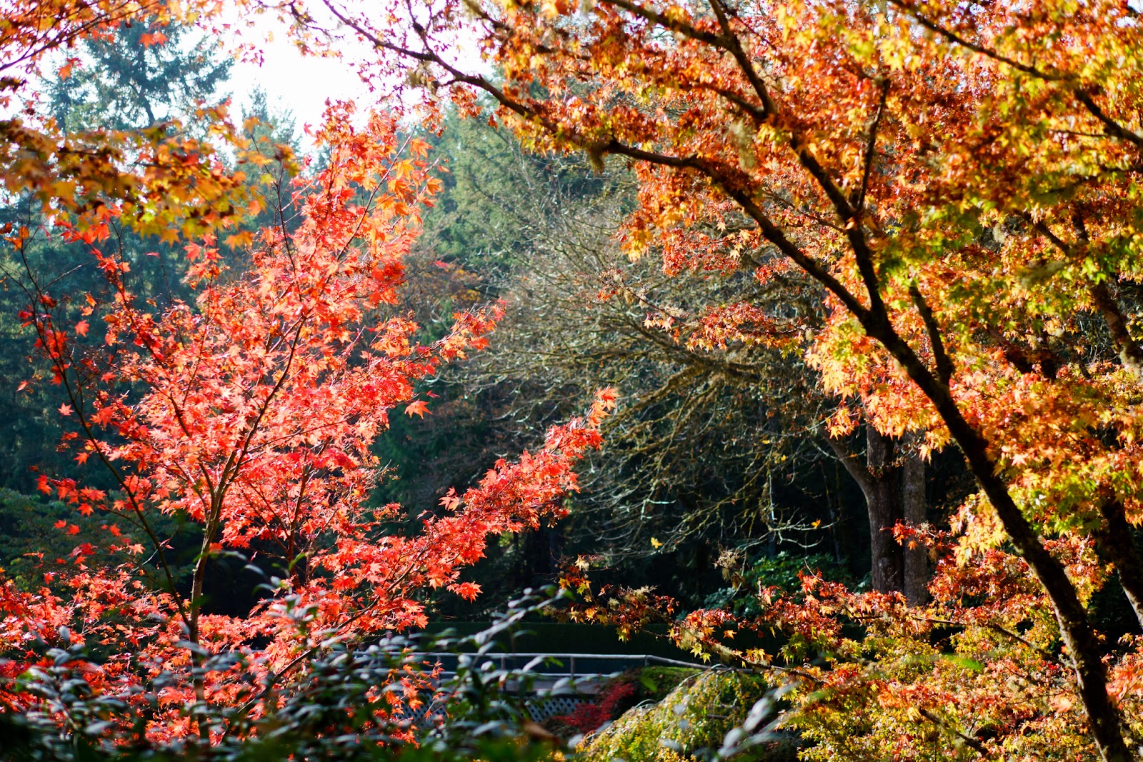 The Butchart Gardens
