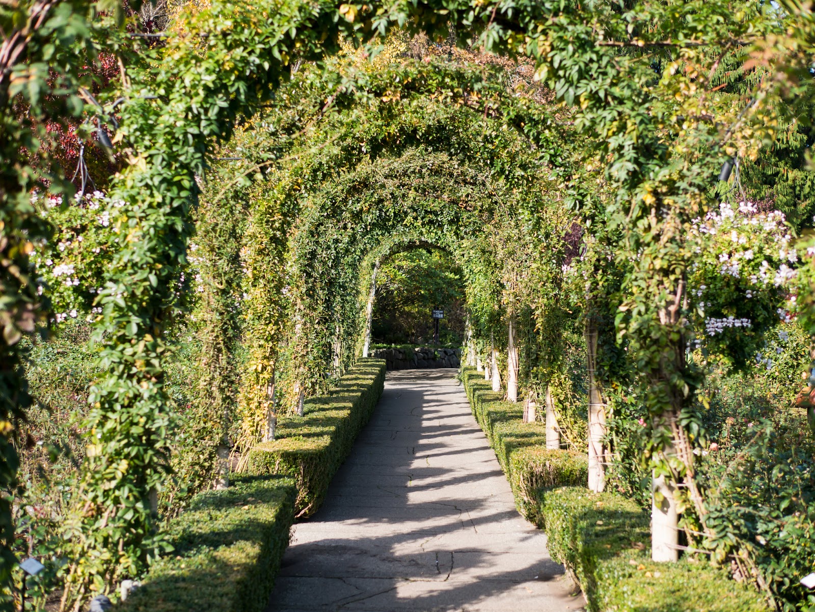 The Butchart Gardens