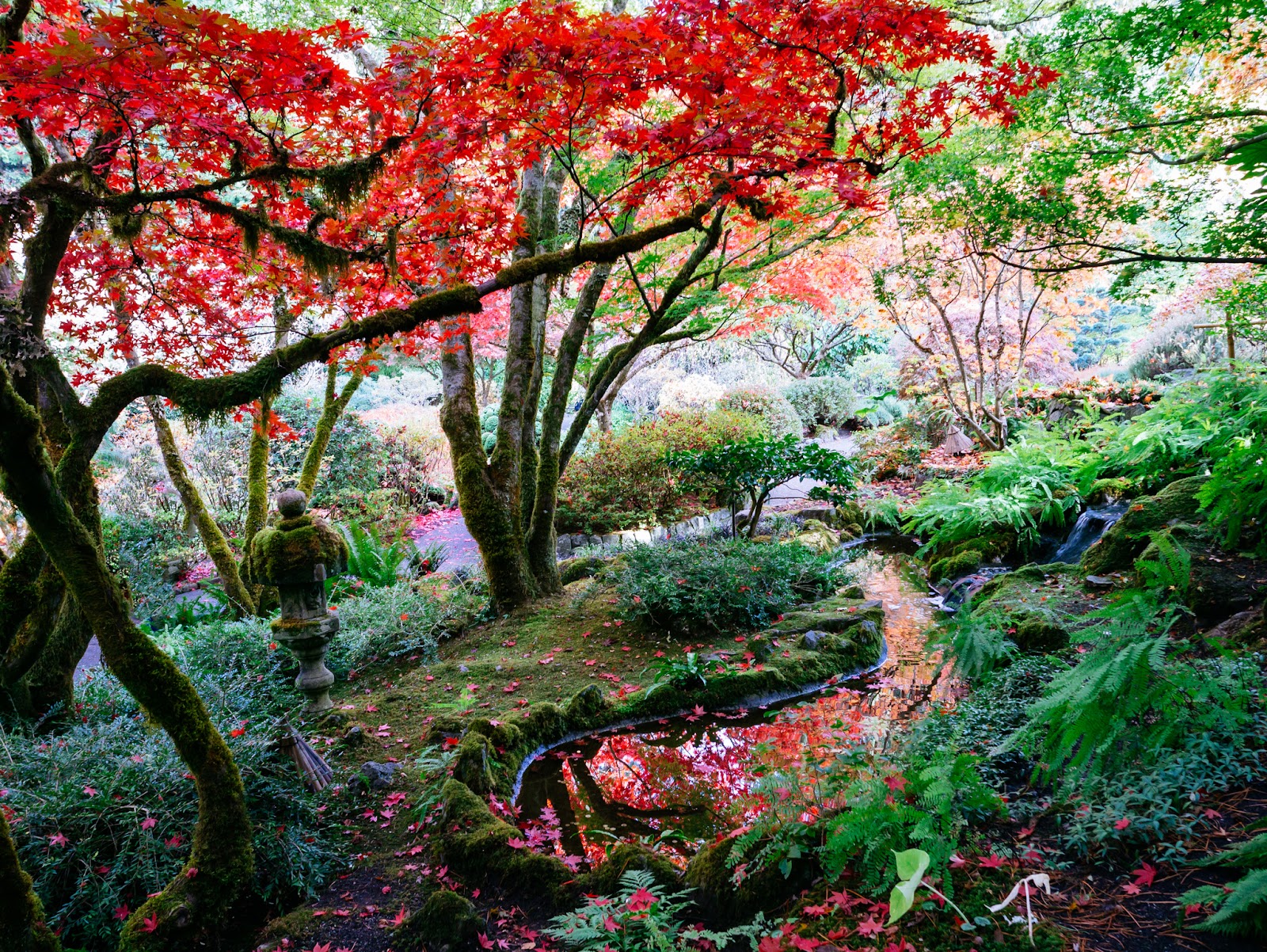 The Butchart Gardens