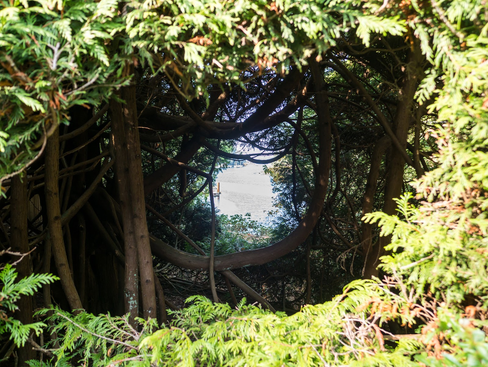 The Butchart Gardens