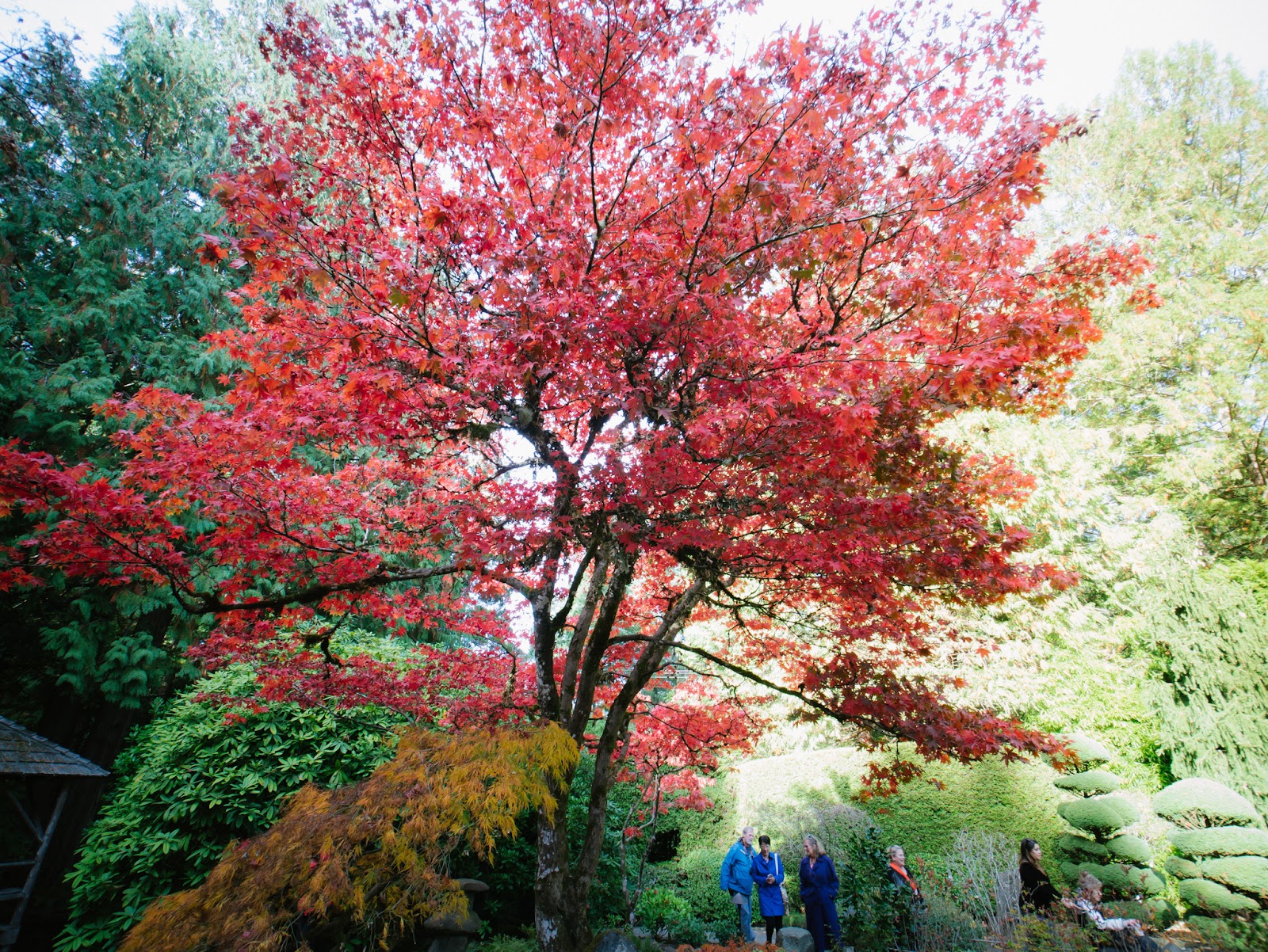 The Butchart Gardens