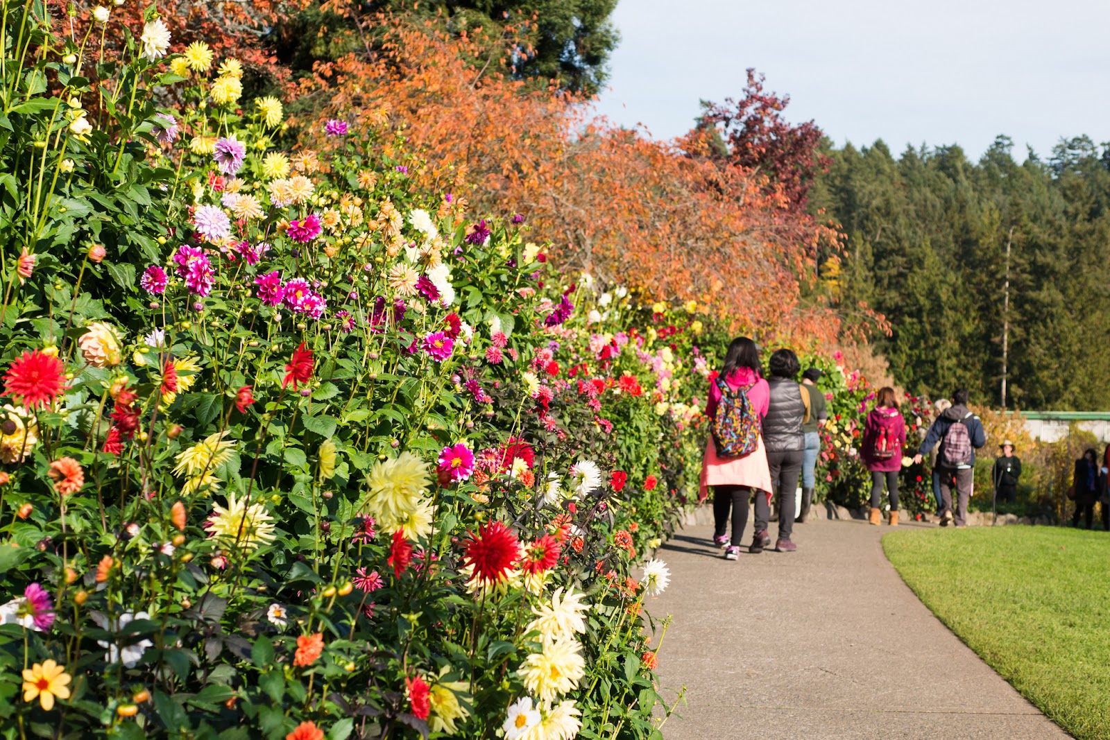 The Butchart Gardens