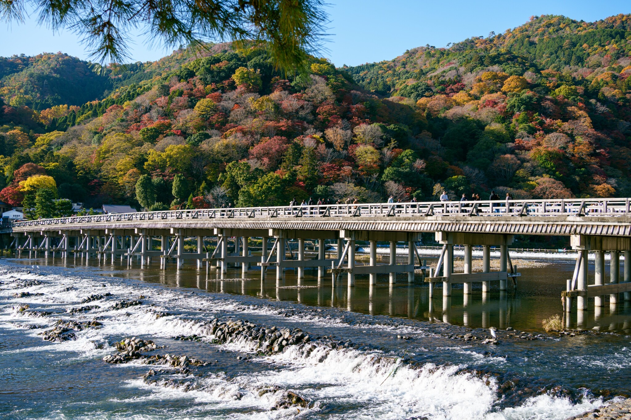 嵐山