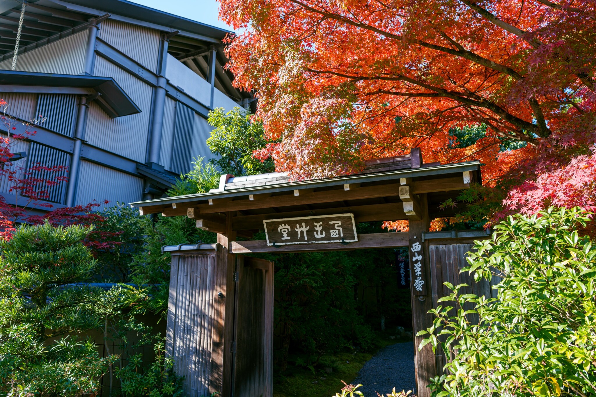 嵐山