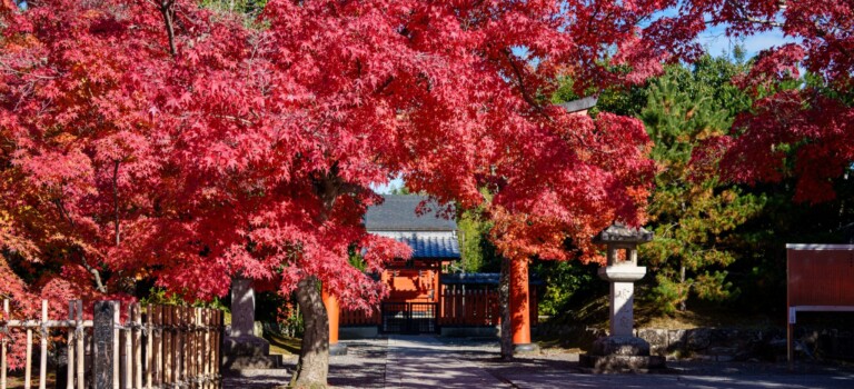 嵐山
