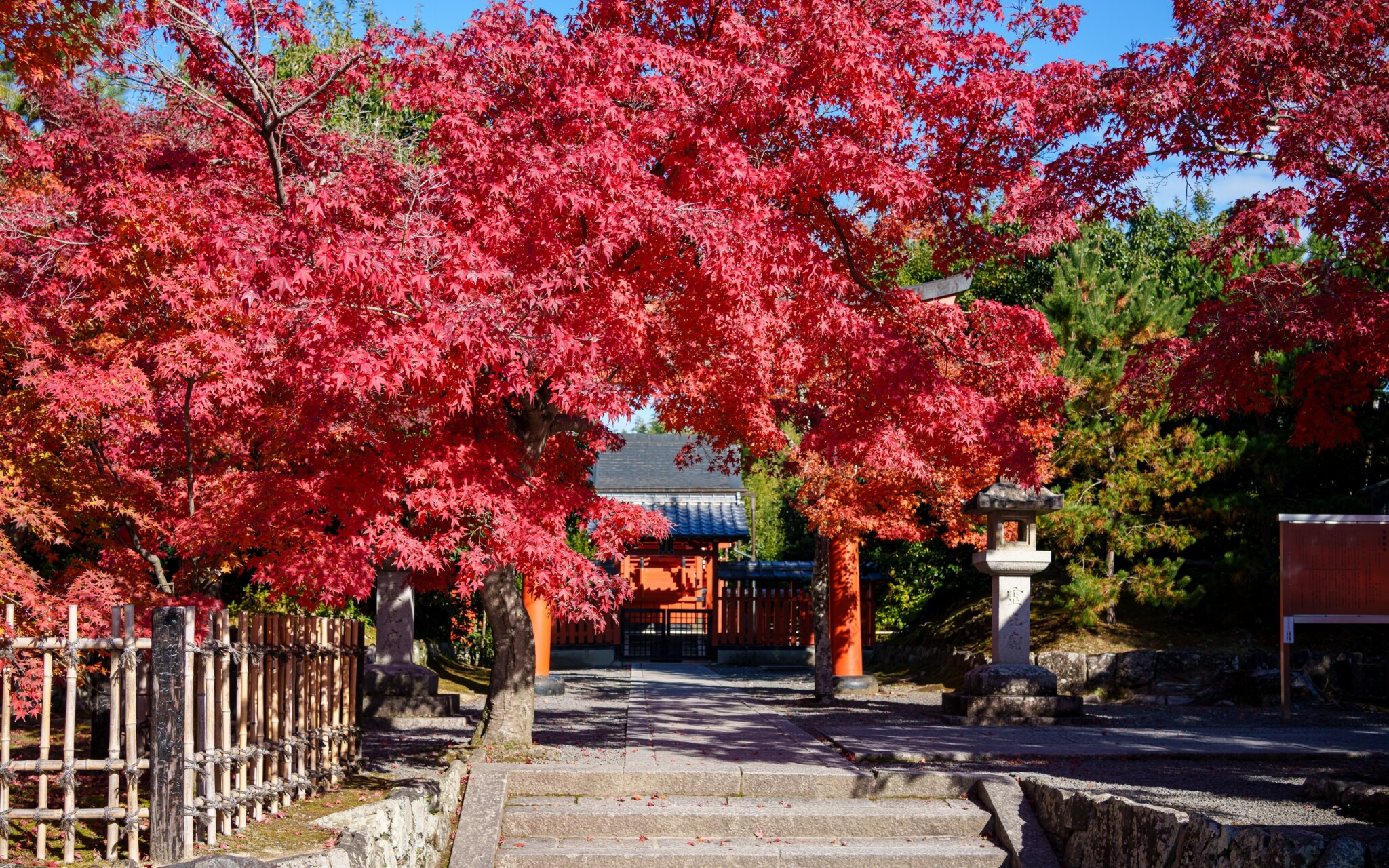 嵐山
