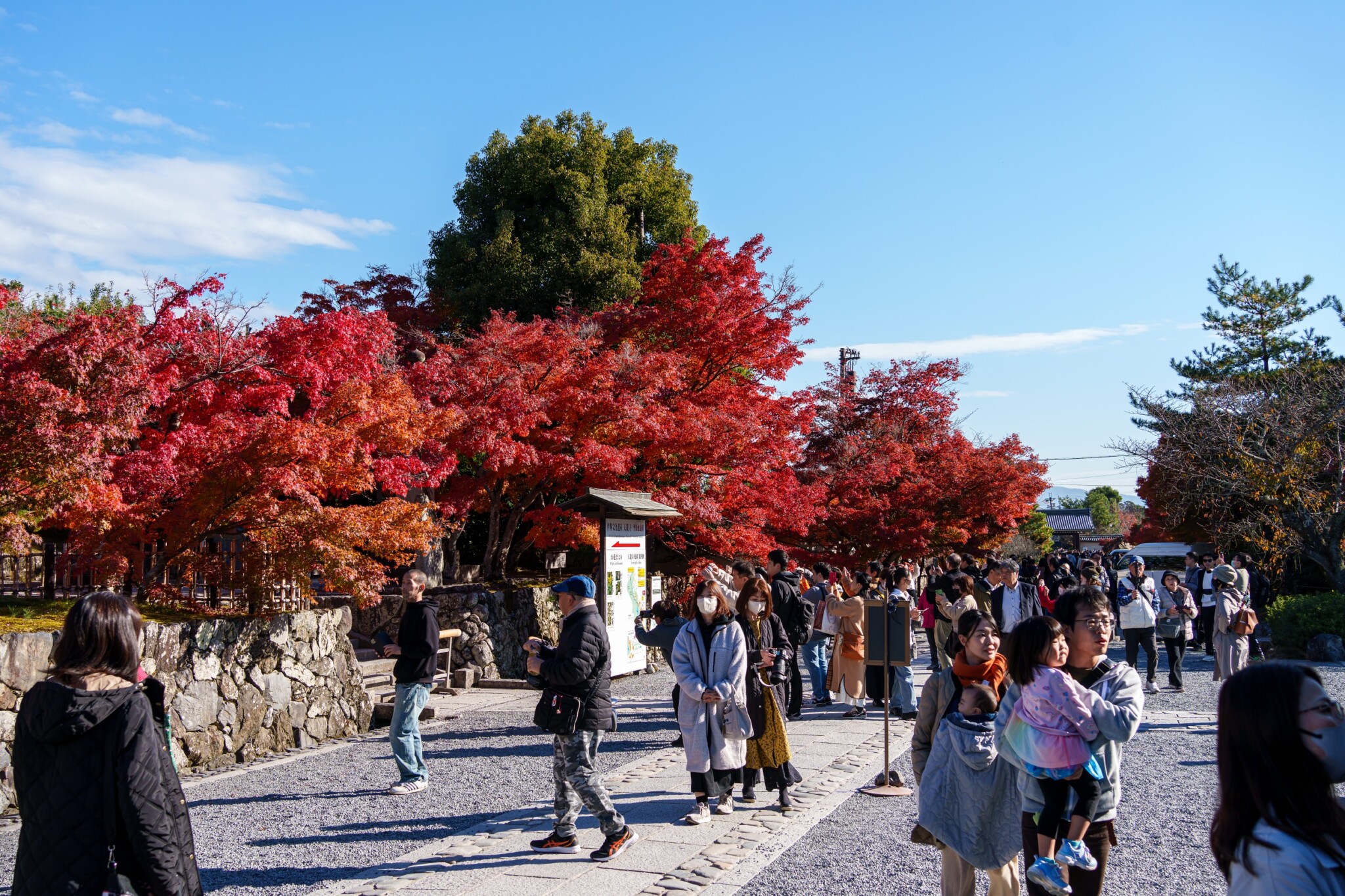 嵐山