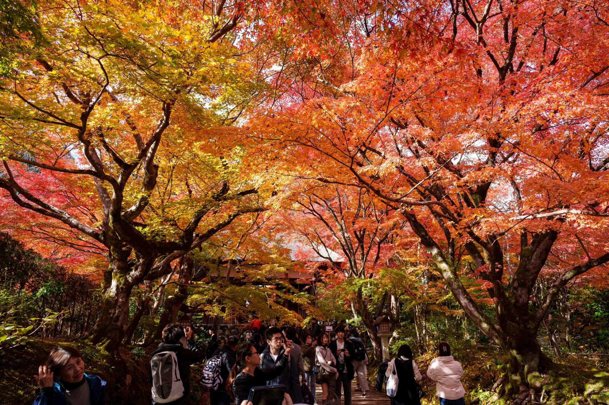 嵐山
