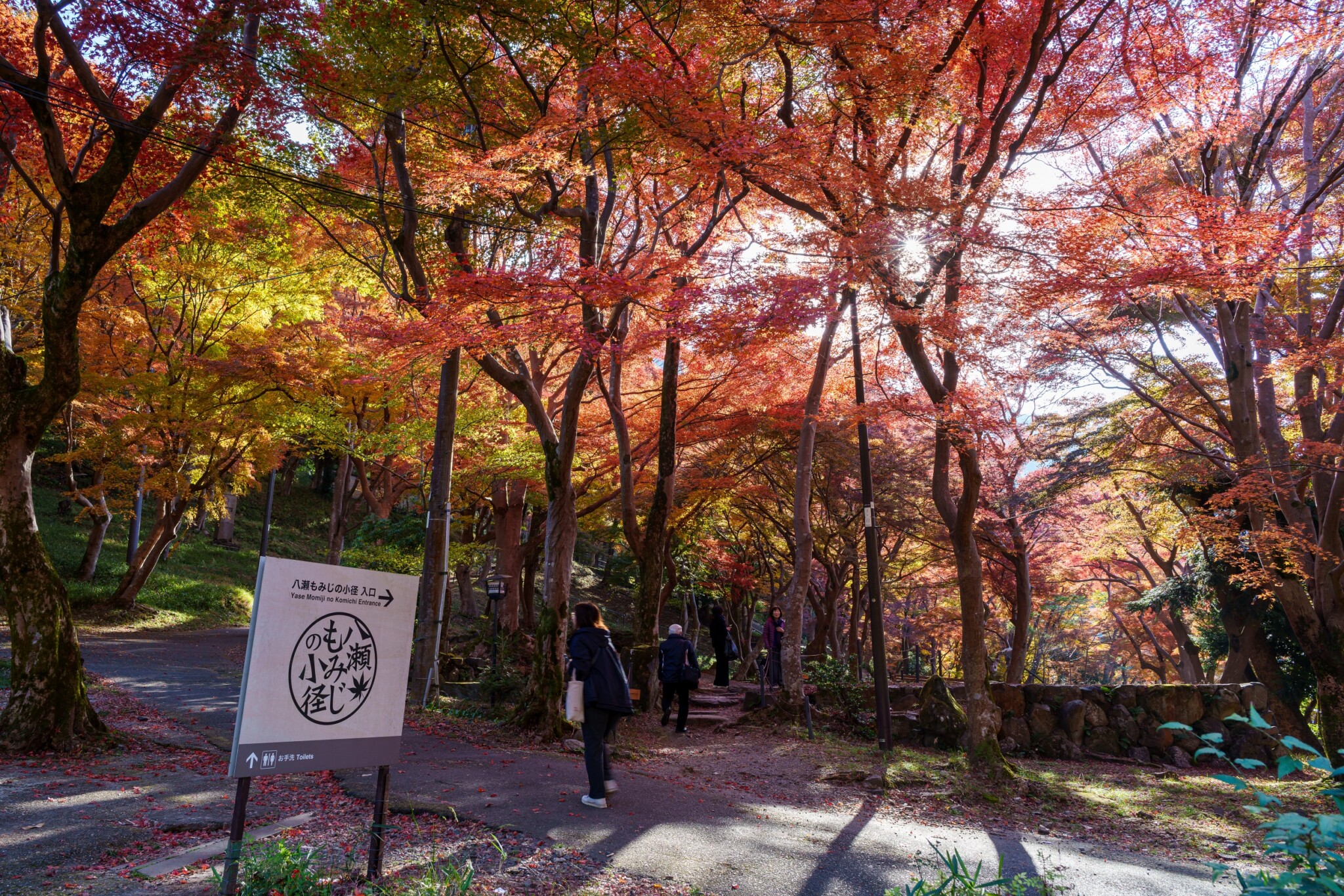 琉璃光院