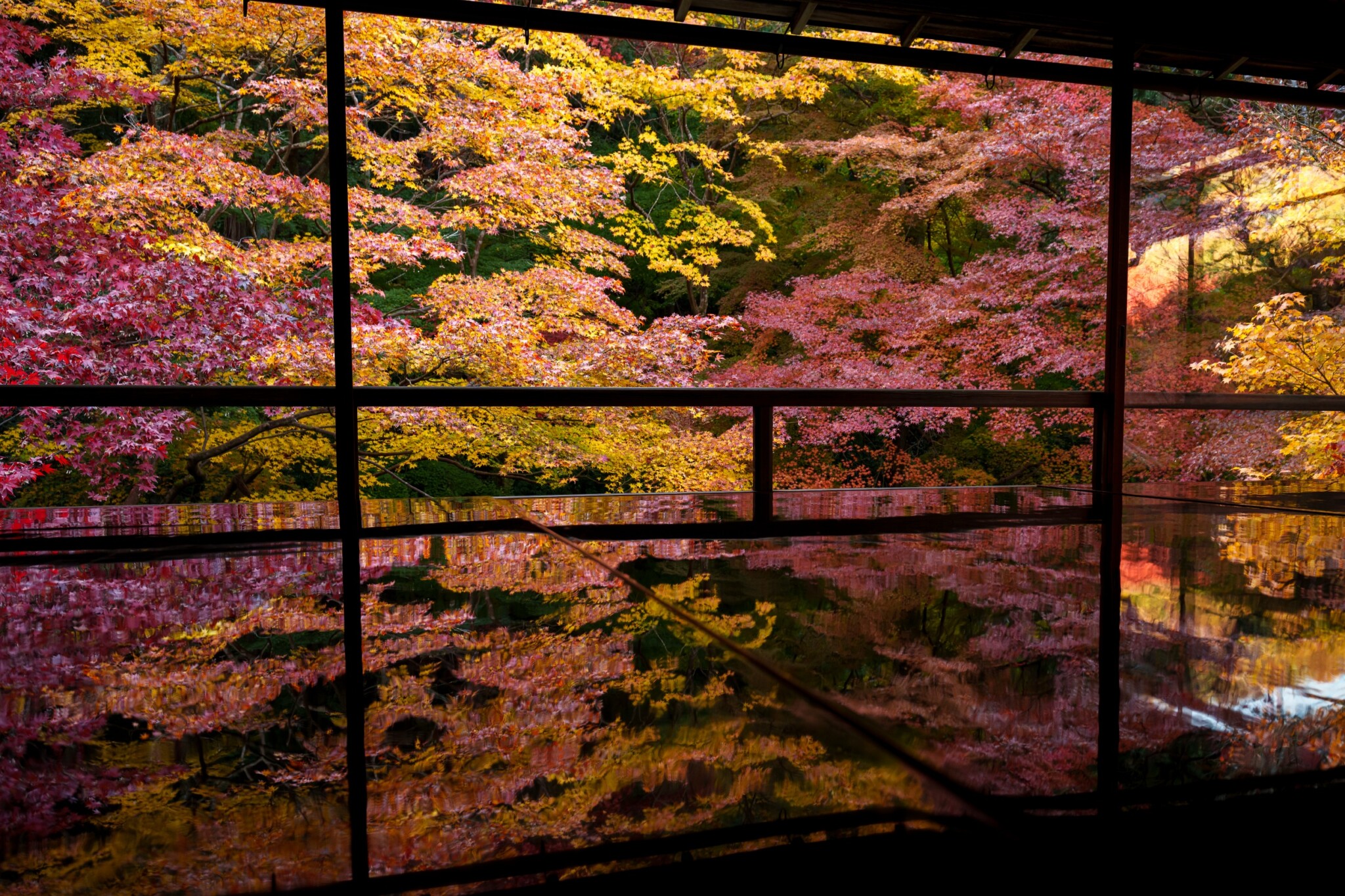 琉璃光院