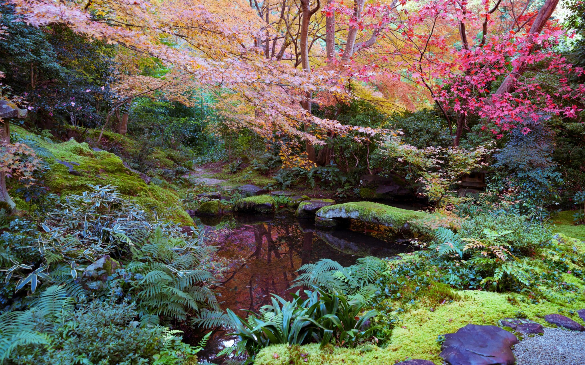 琉璃光院