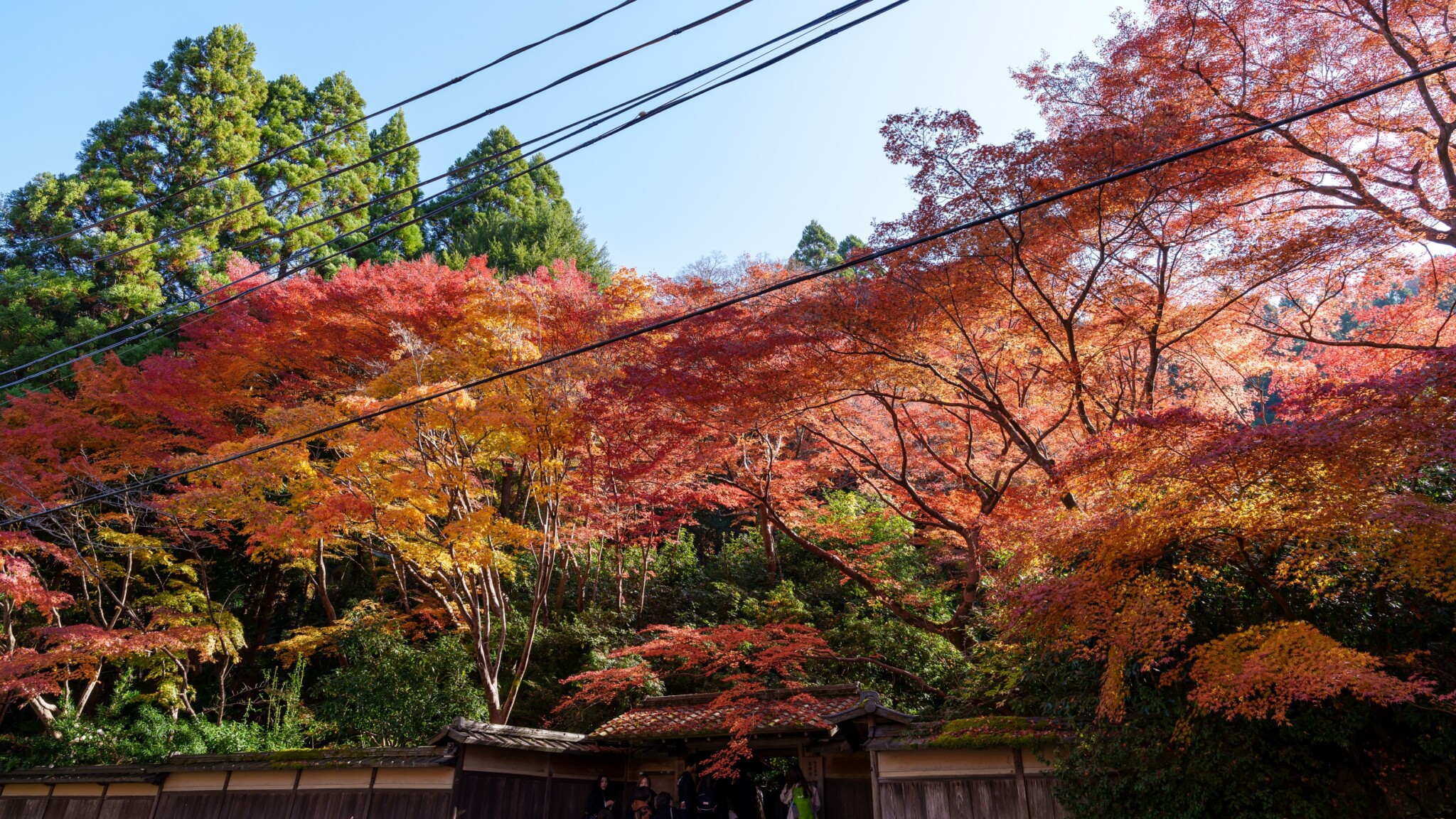 琉璃光院
