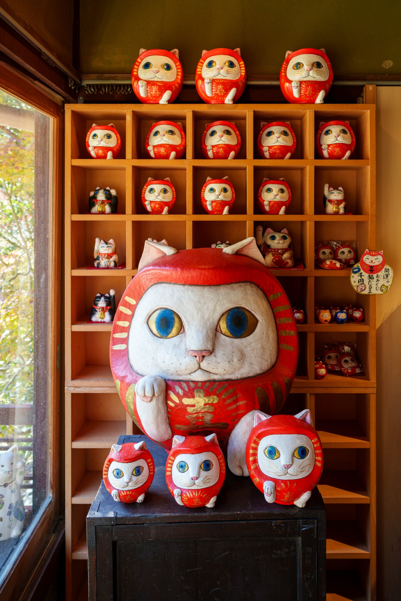 貓貓寺