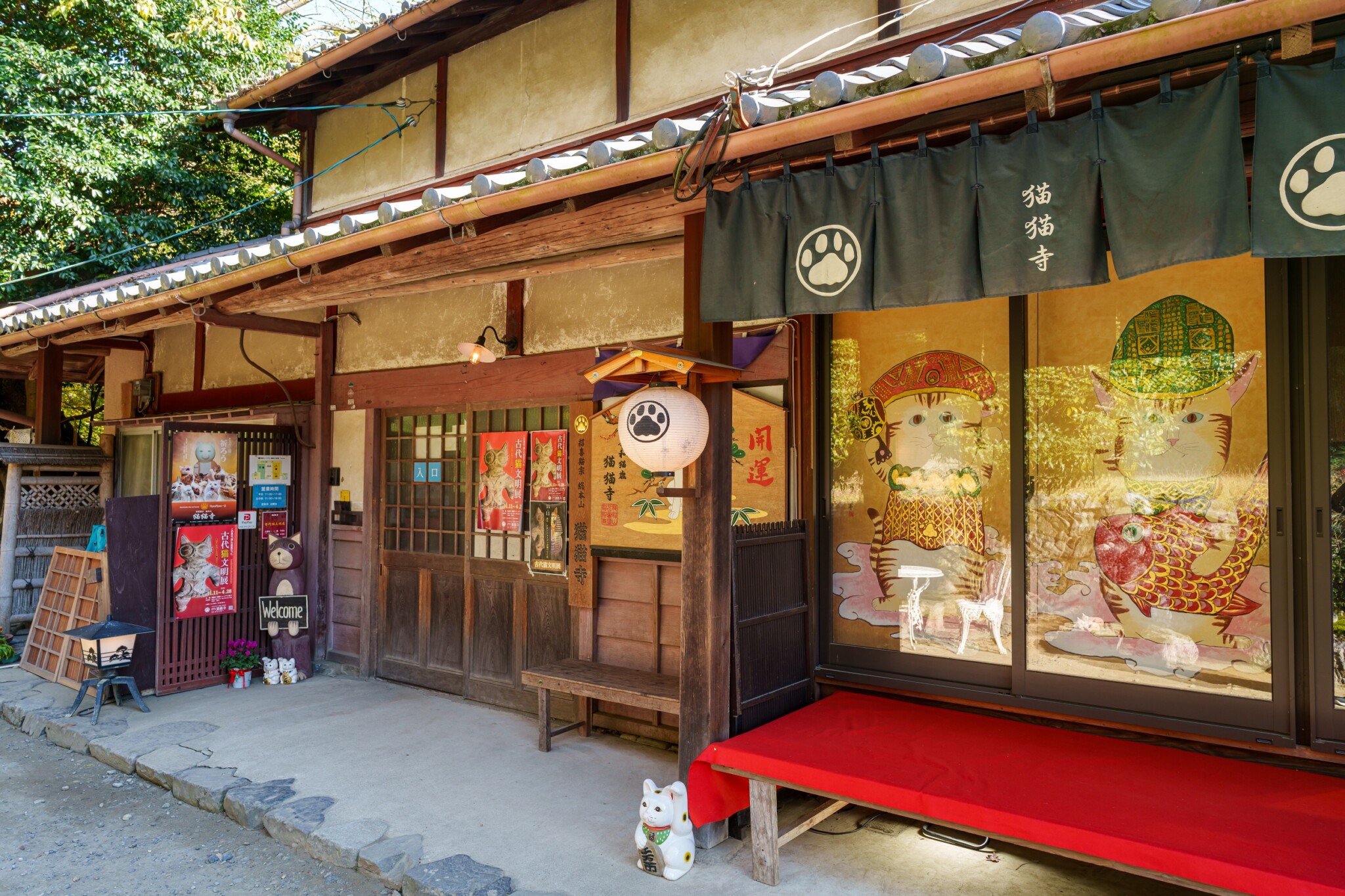 貓貓寺