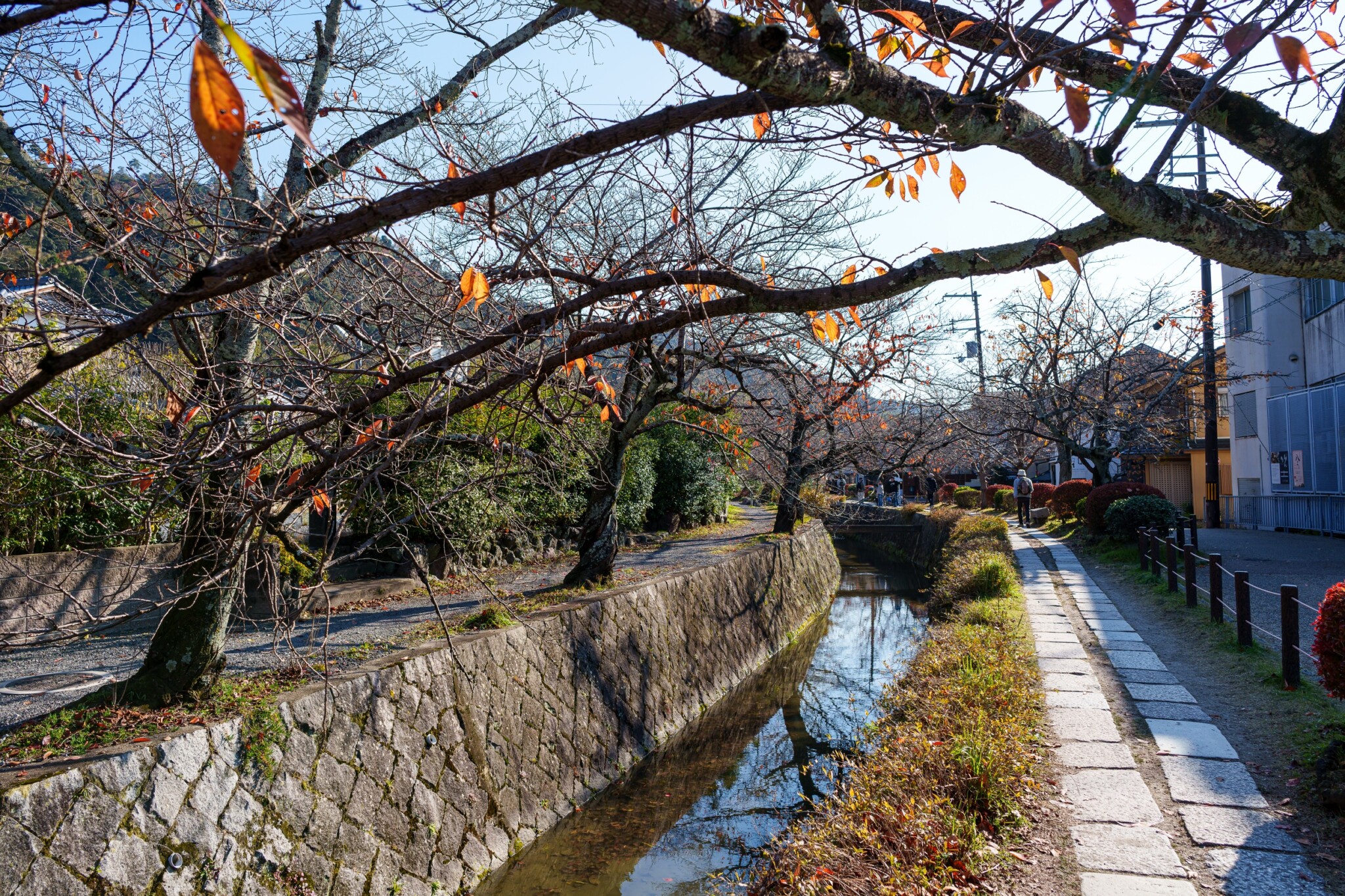 京都寺院