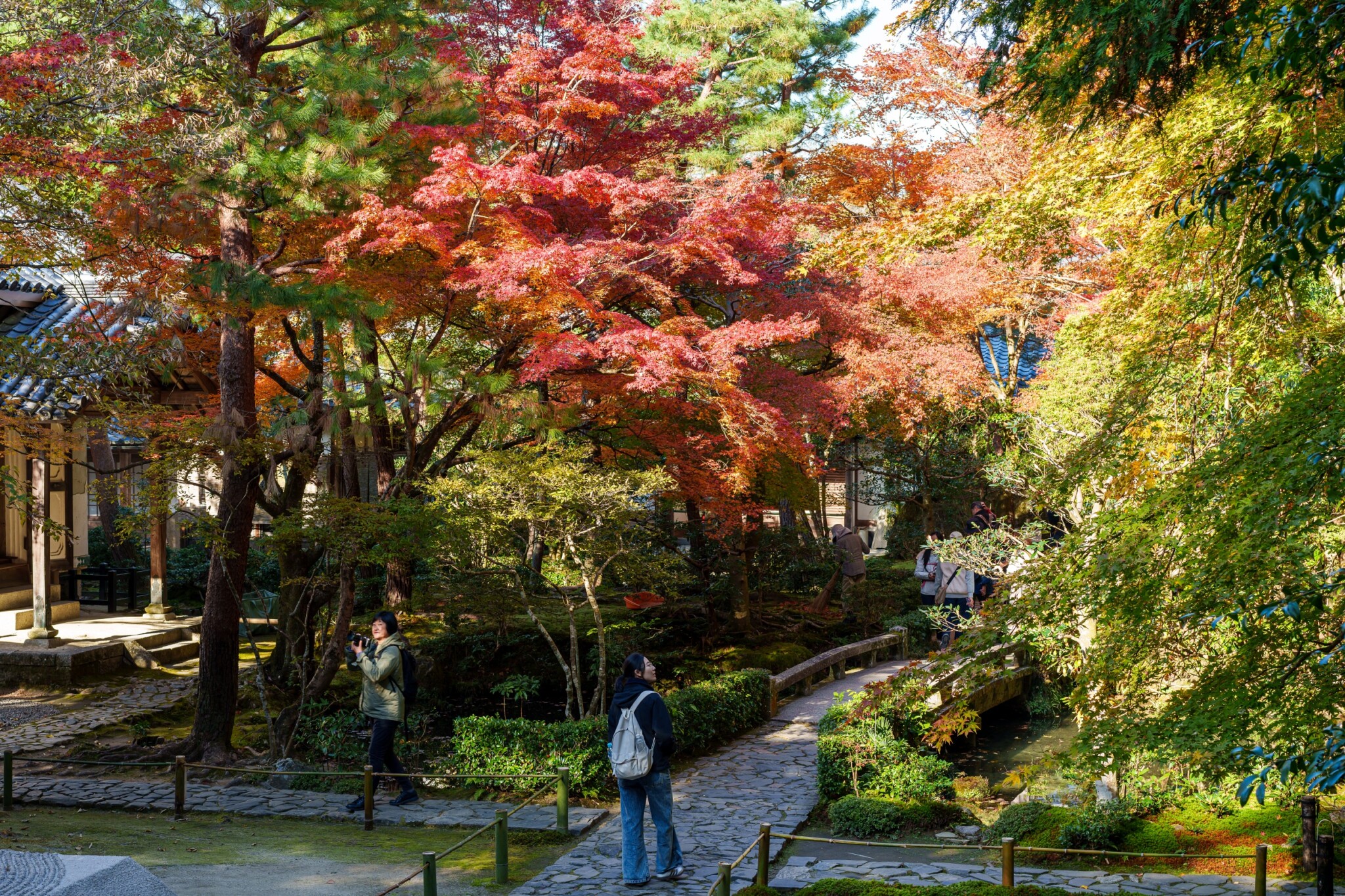 京都寺院