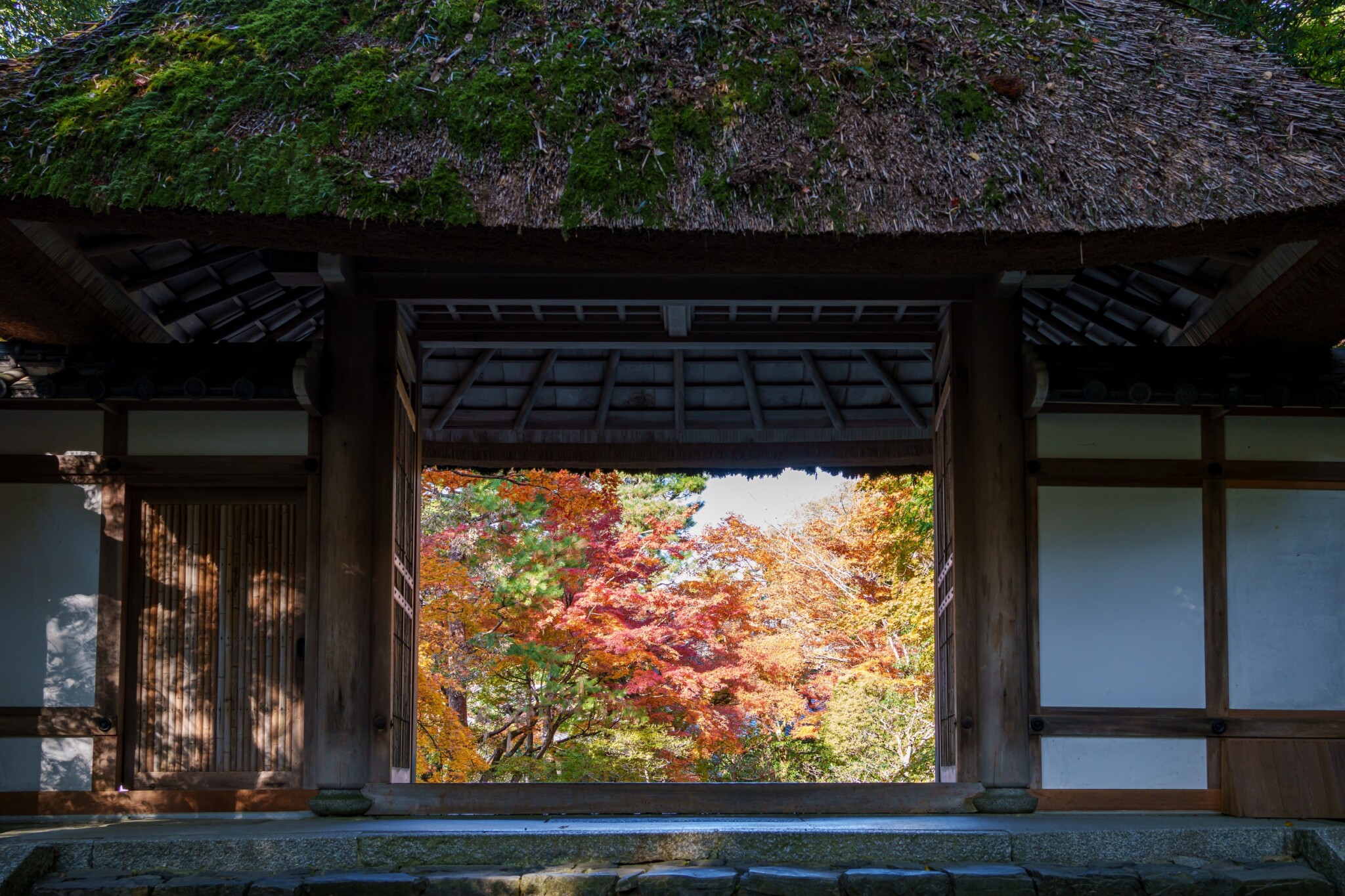 京都寺院