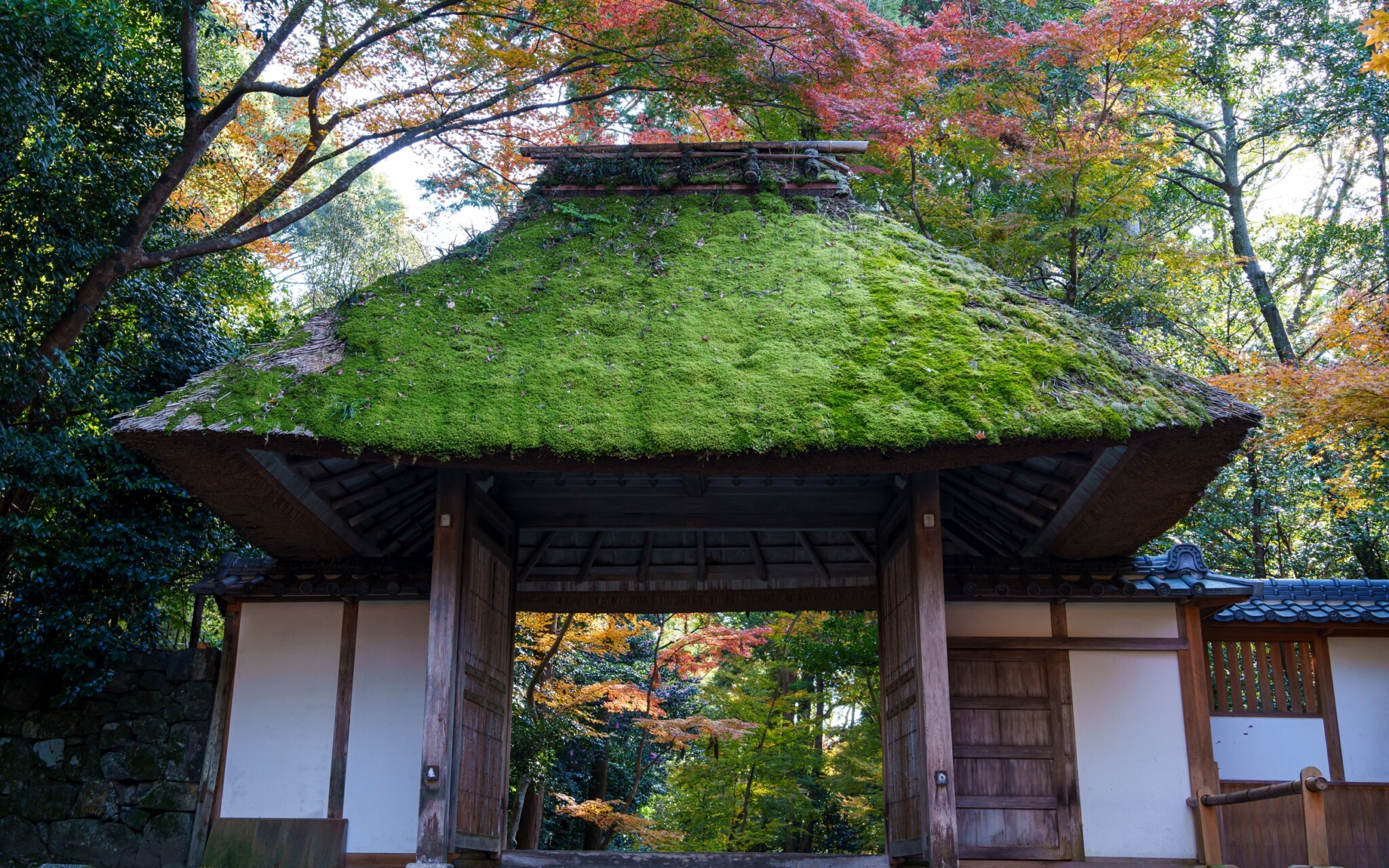 京都寺院