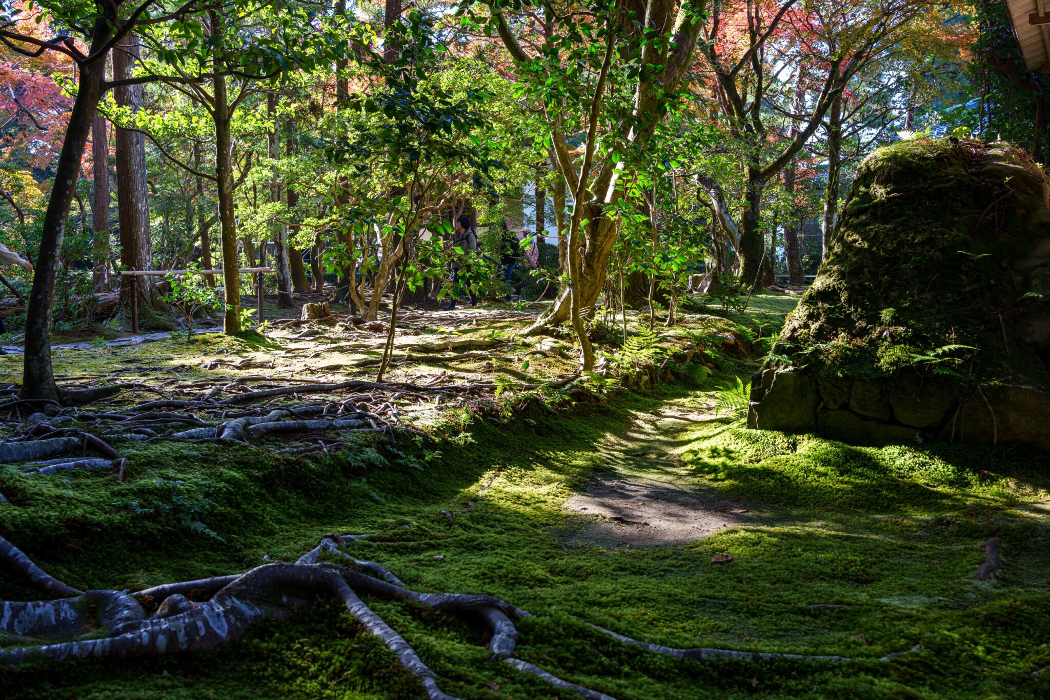 京都寺院