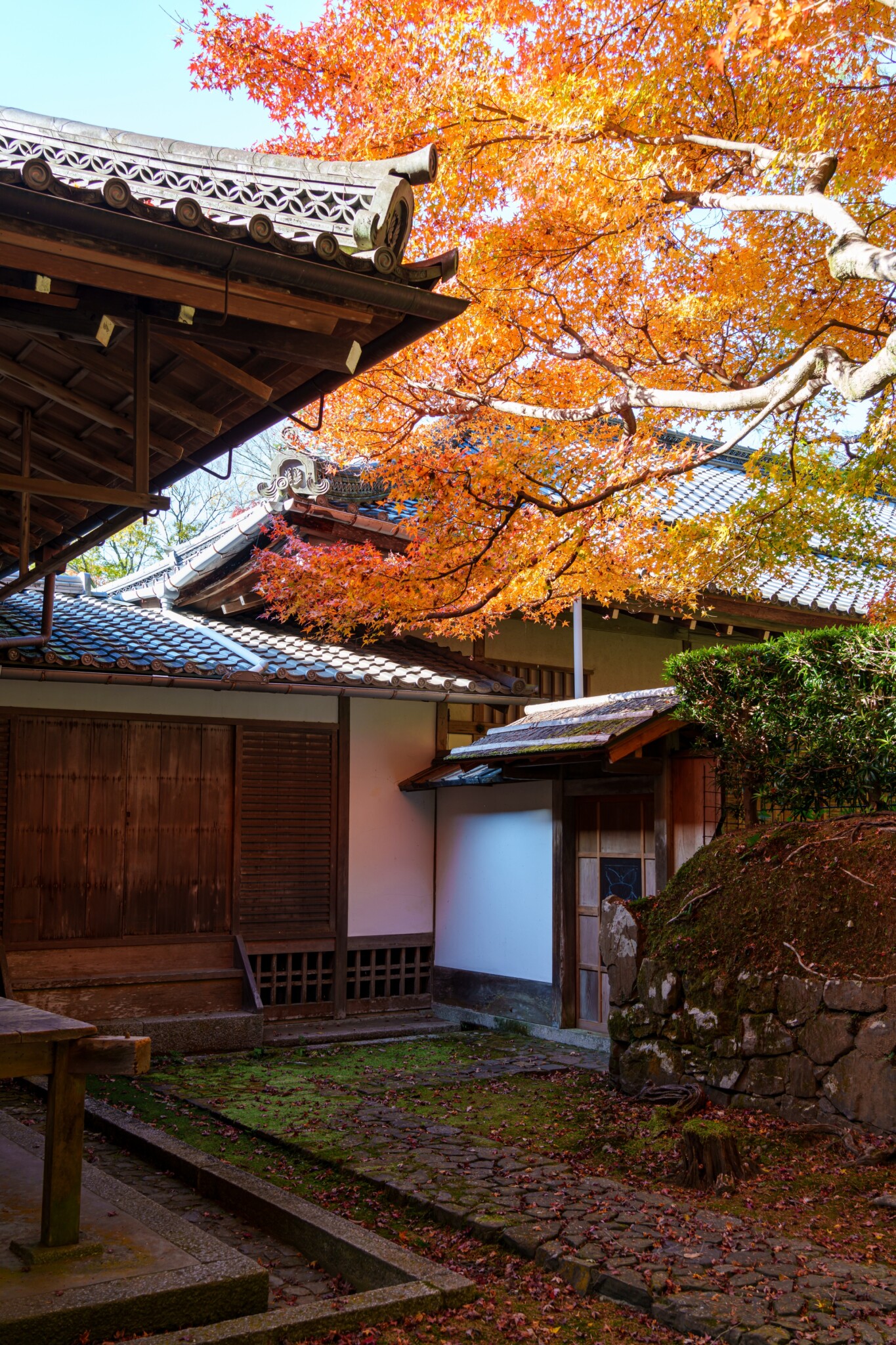 京都寺院
