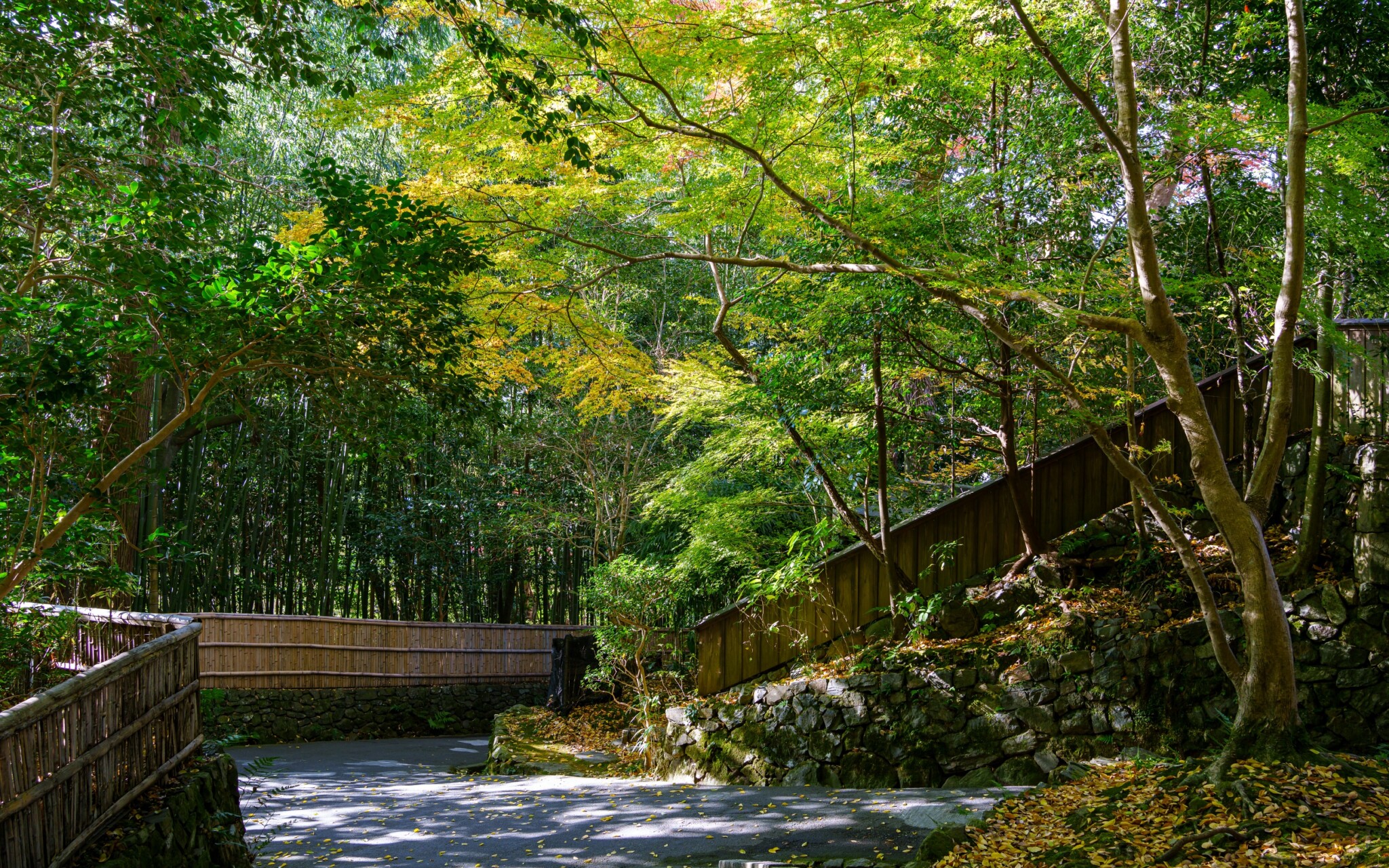 京都寺院