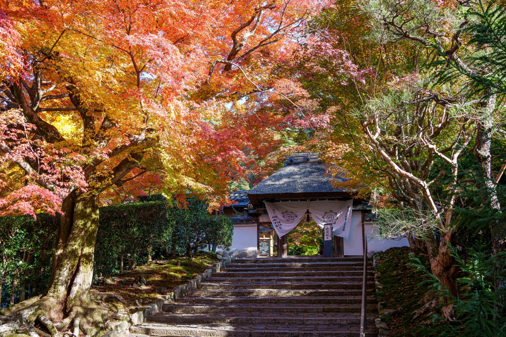 京都寺院